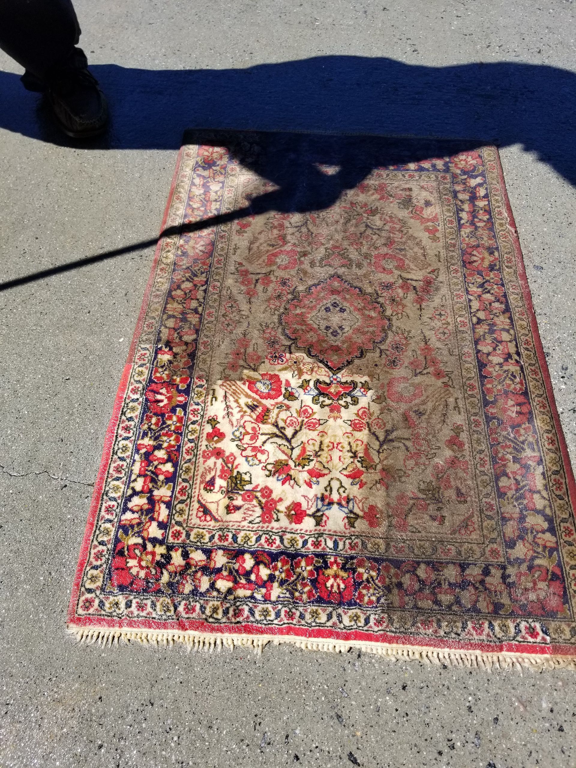 rug cleaning in progress