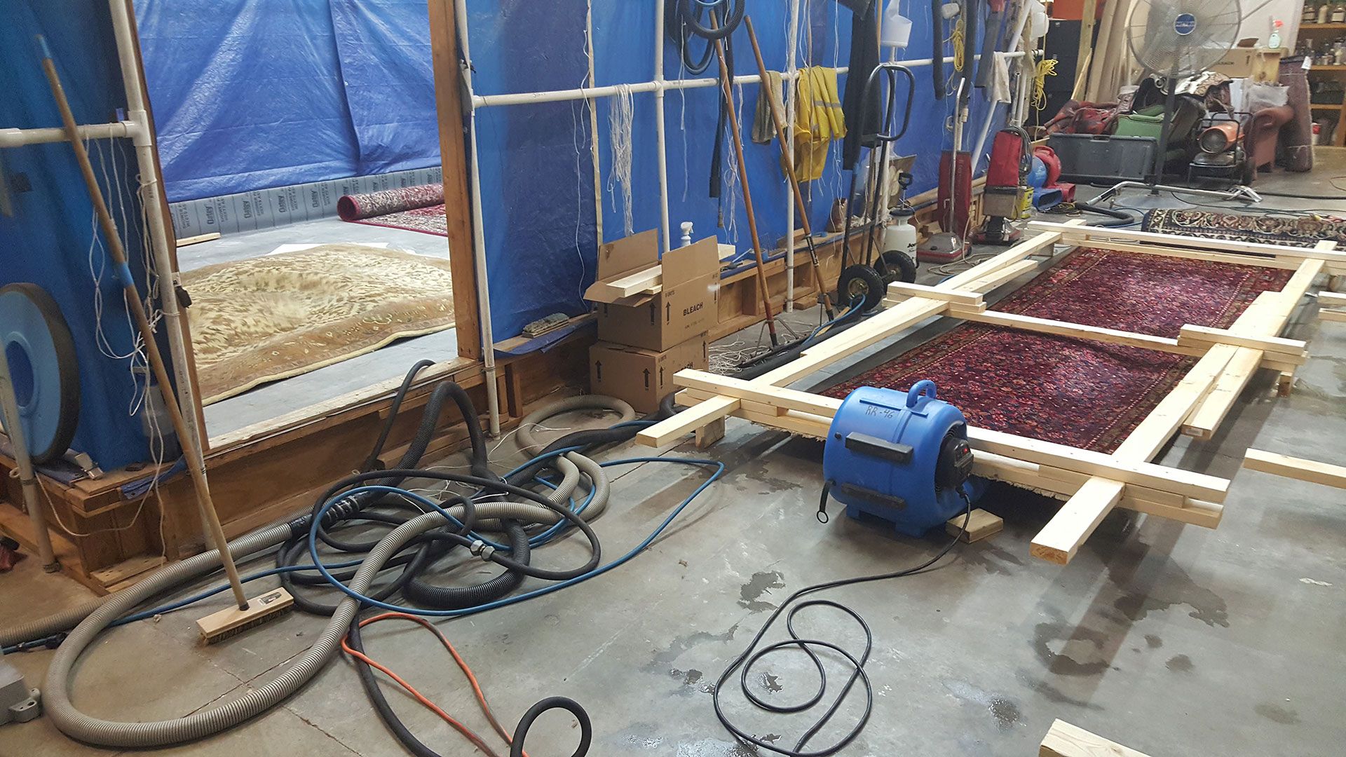 rug drying with blower