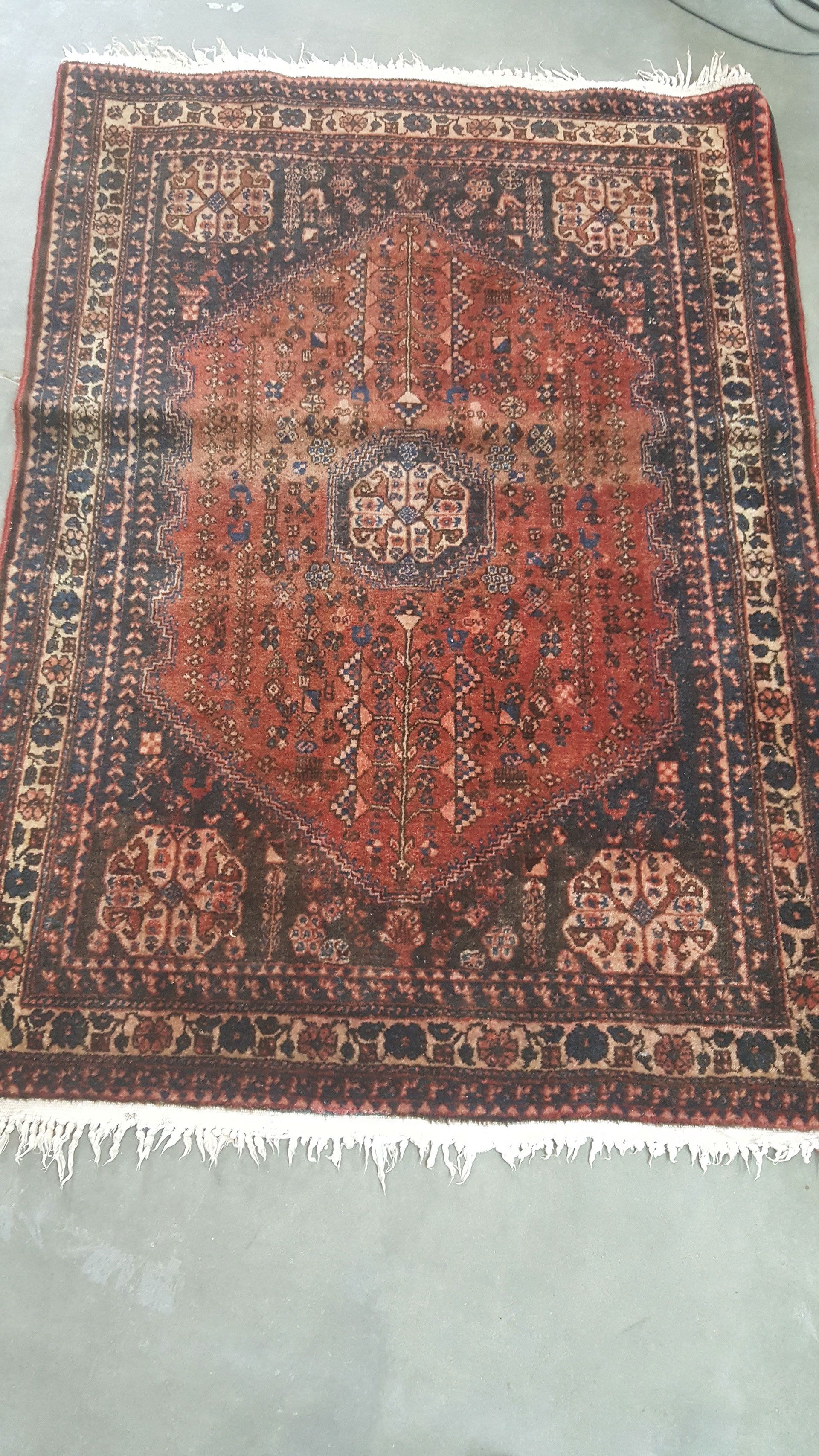 stains removed from the rug