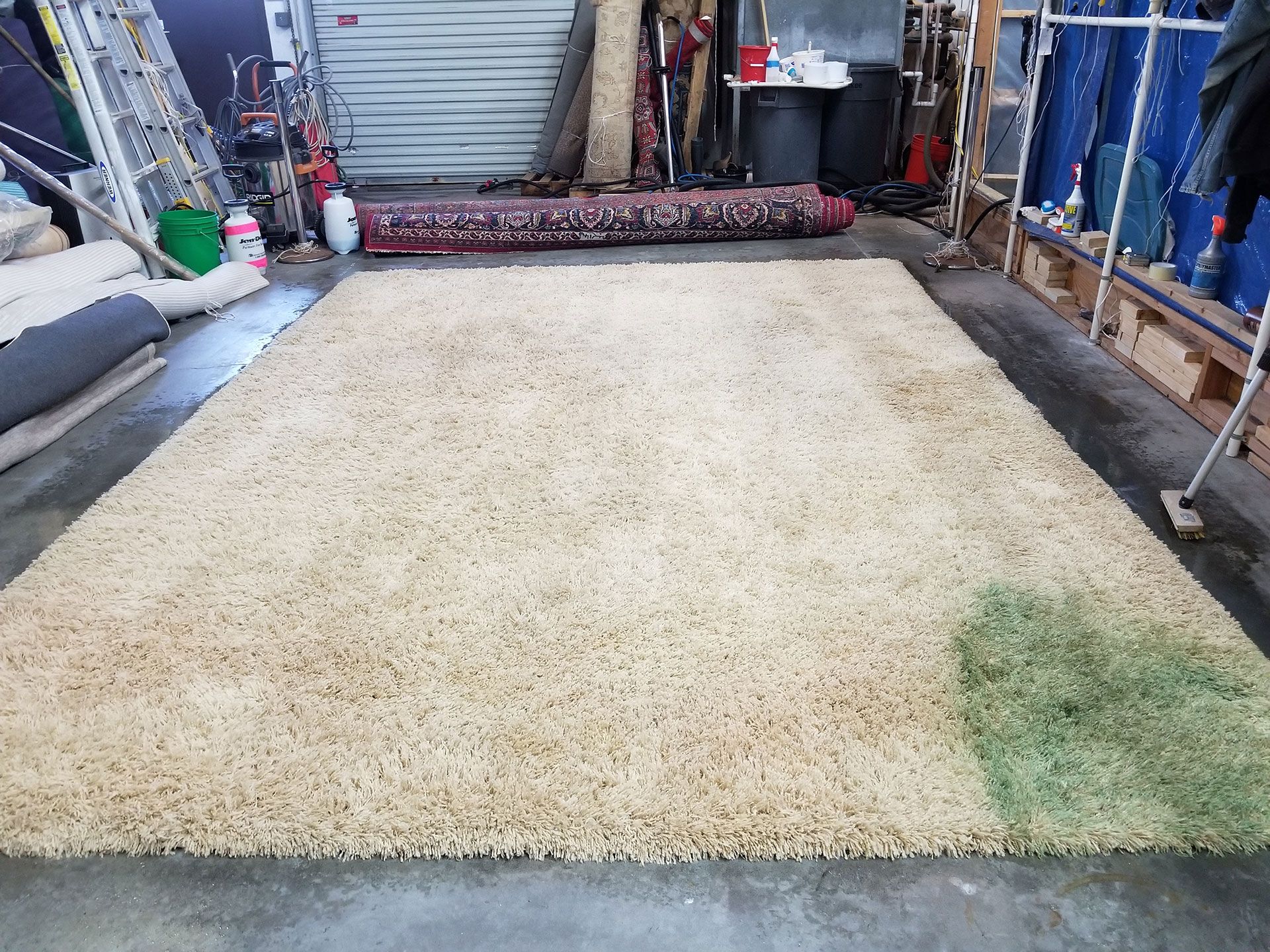 during rug cleaning process