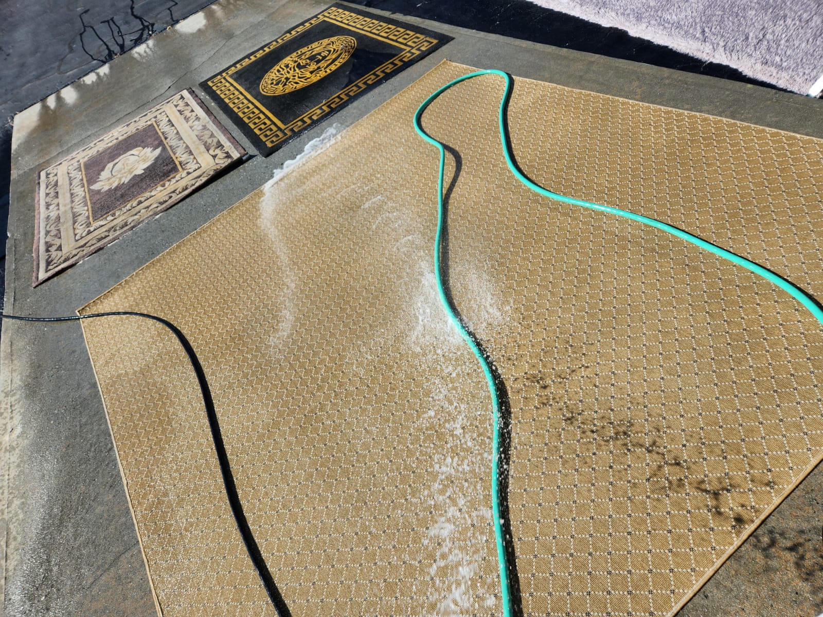 spraying a big rug with water