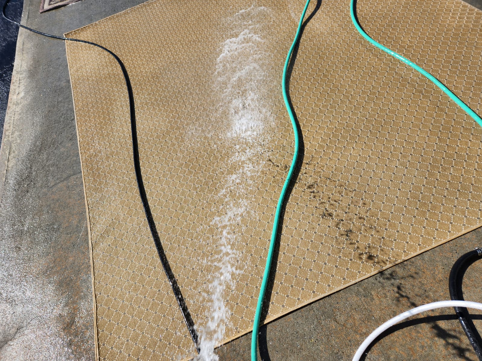 spraying a big rug with water and soap