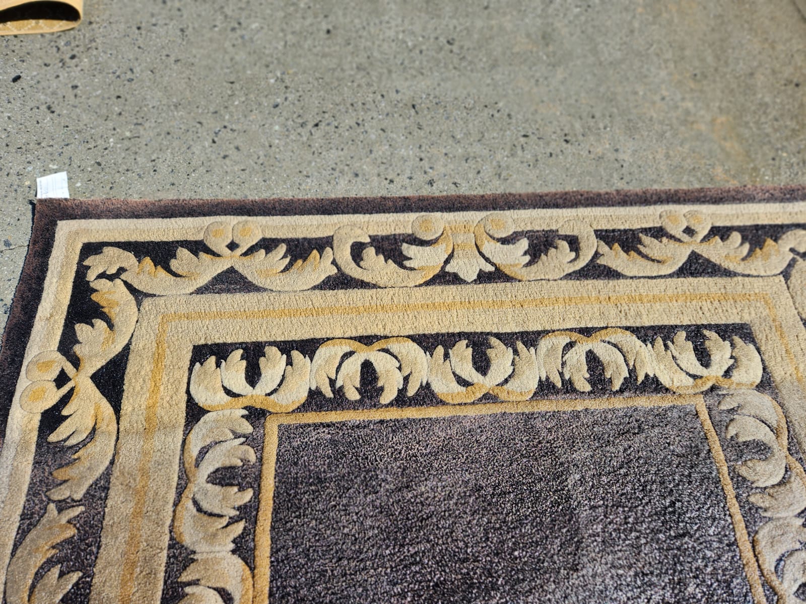 a close-up of the side of the rug that has been cleaned