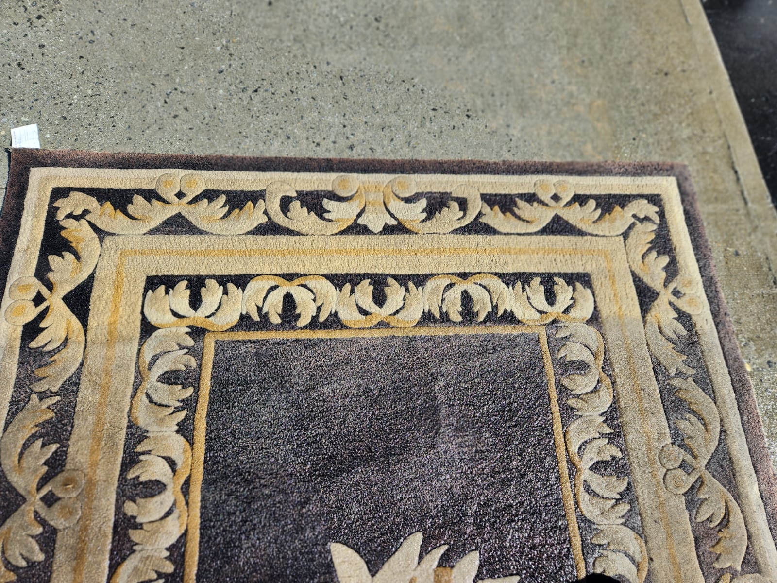 a close-up of a section of the rug that has been cleaned
