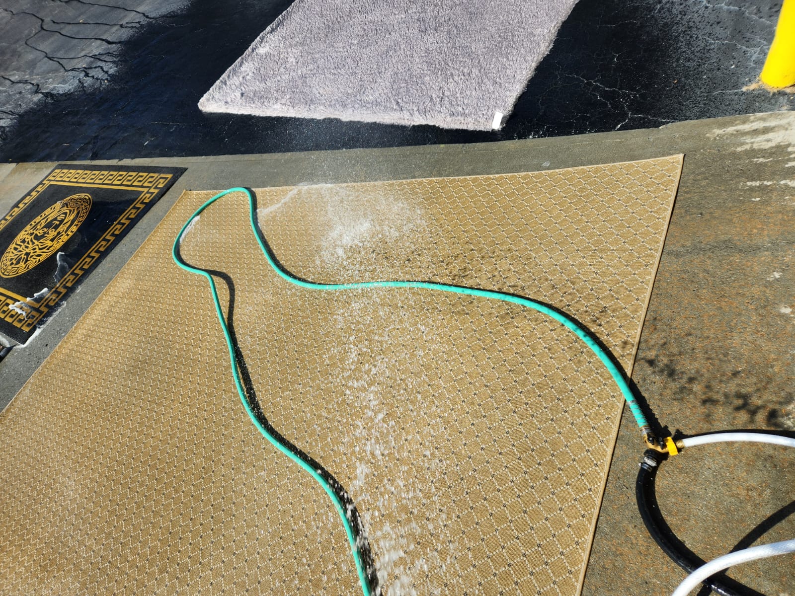 hosing down the big rug with water
