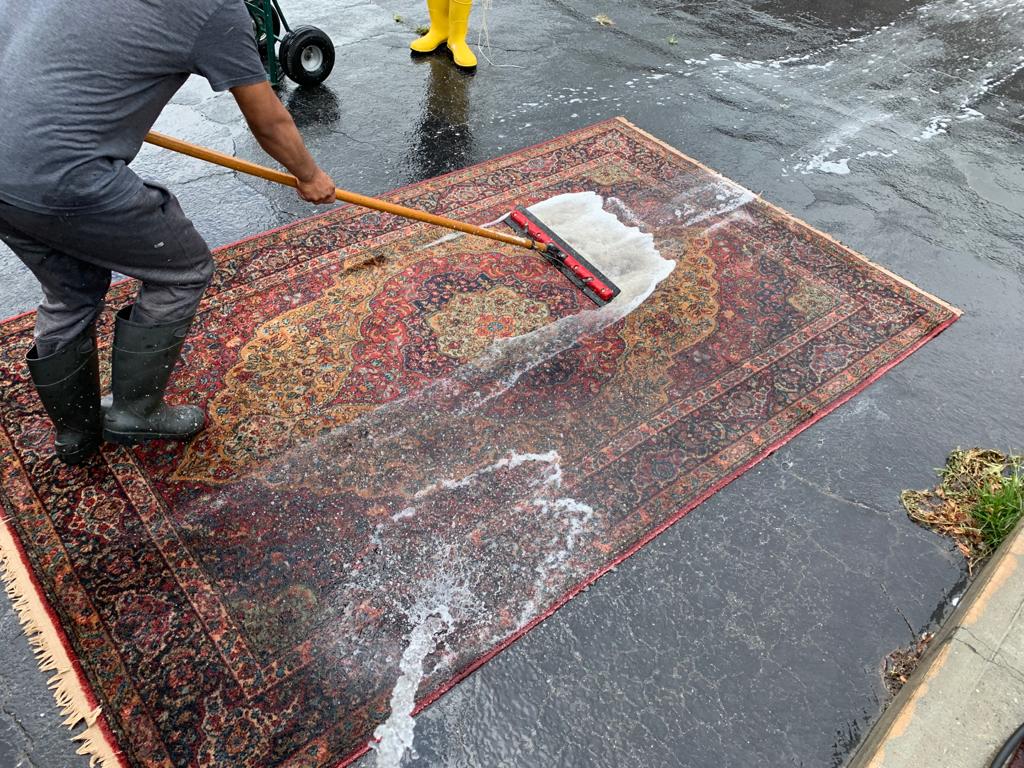 Rug cleaning 14