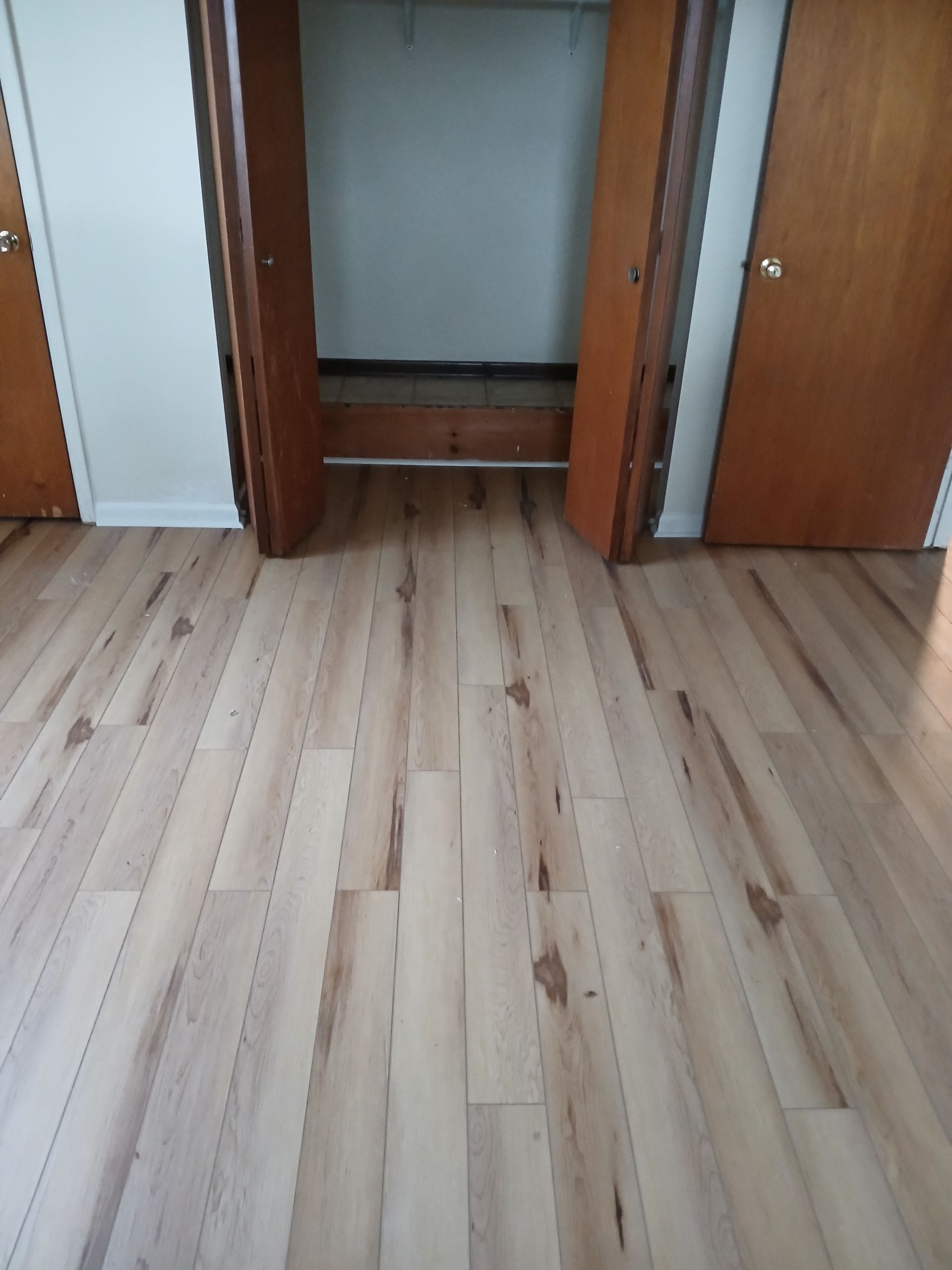 A room with hardwood floors and a closet