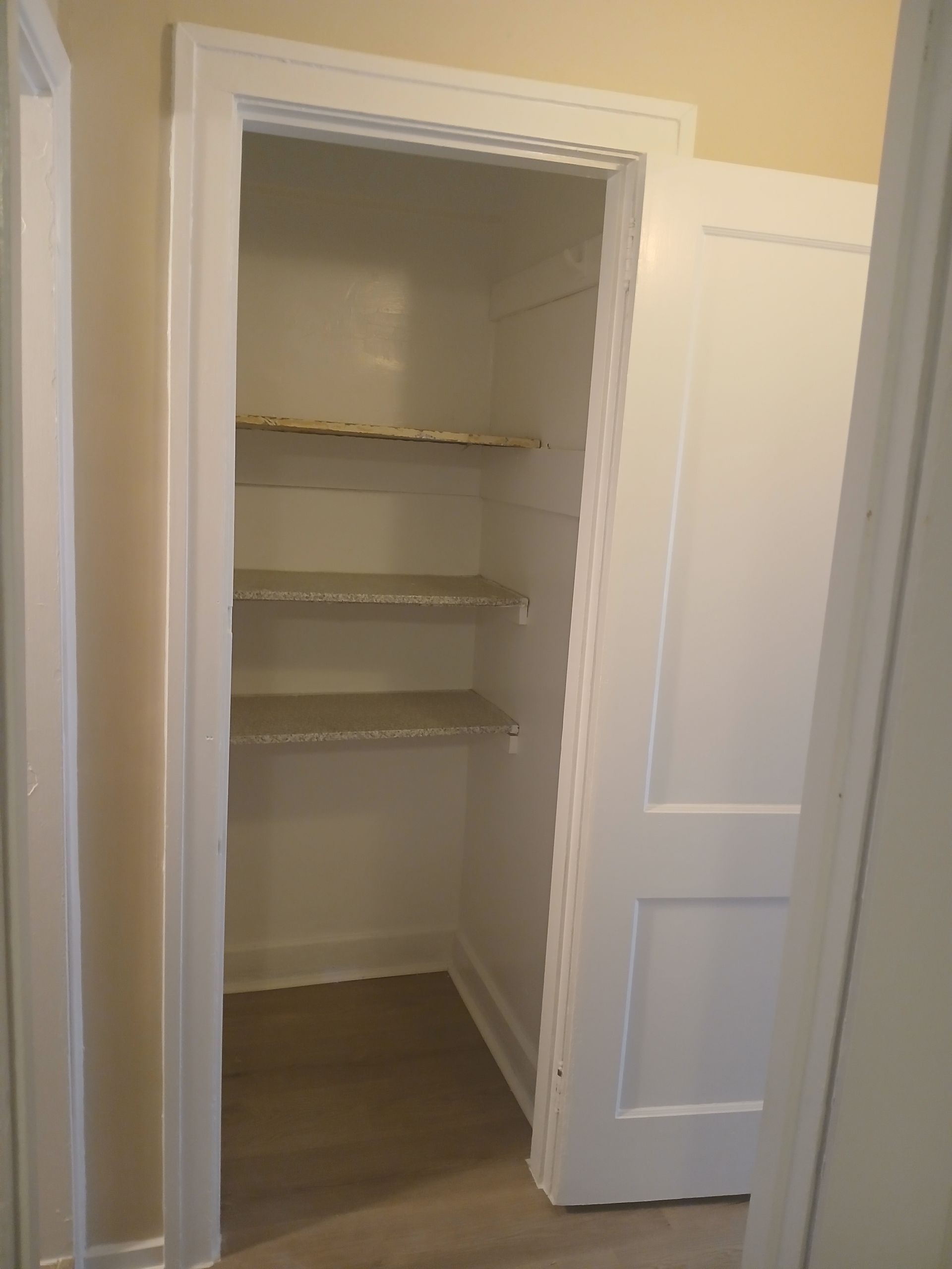 A closet with shelves and a door that is open.