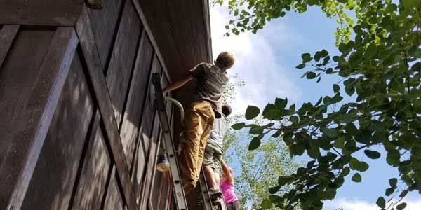 A man is standing on a ladder on the side of a building.