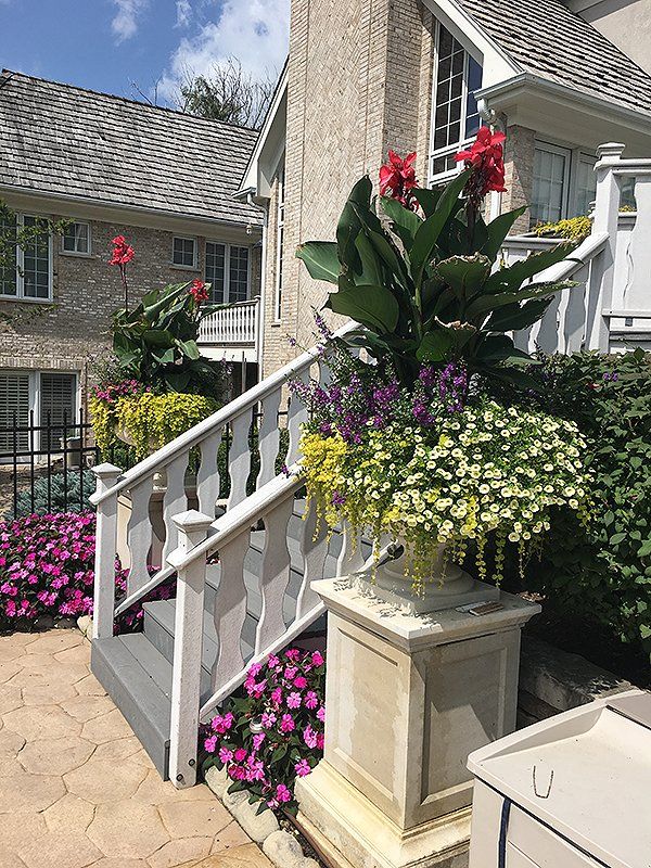 Marconin 2017 Planter