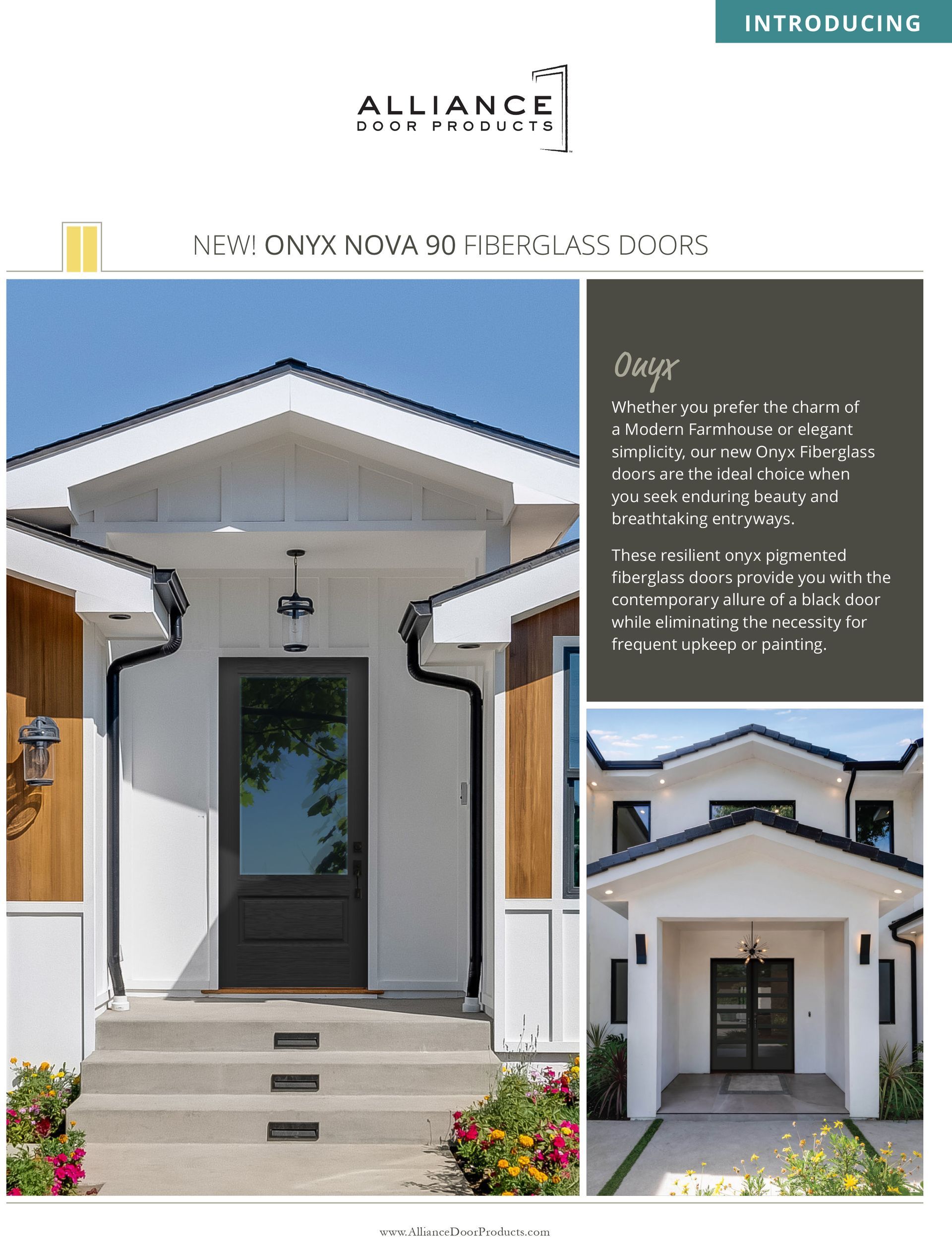 Modern house exterior designs, with a dark door, white walls, and a green trim.