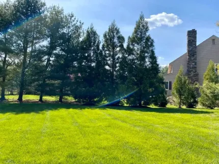 W.D.B. Landscaping Inc