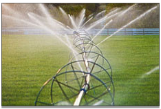 Sprinkler system