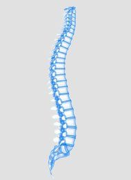 Danville Neurology Associates body spine