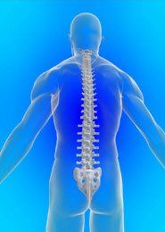Danville Neurology Associates skeletal structure