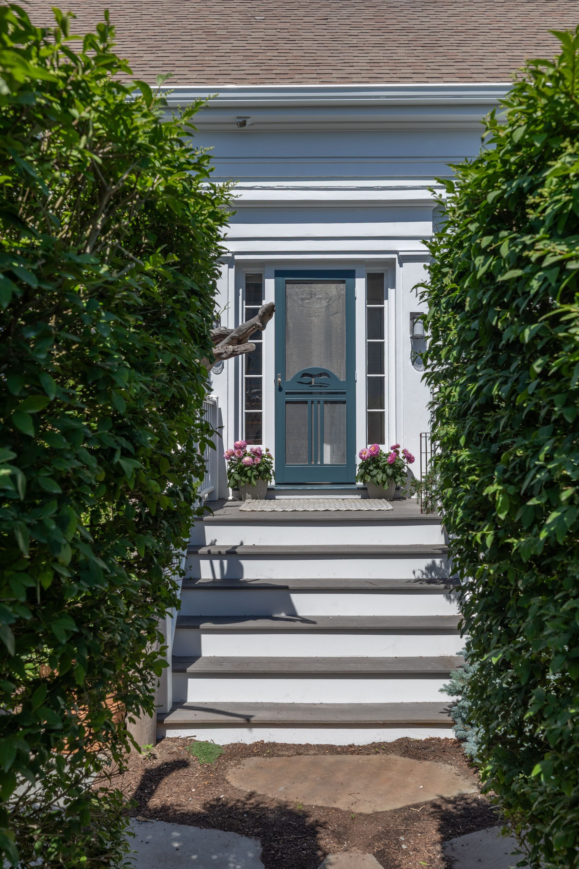 Front steps to a white house framed by tall green hedges, with a blue front door and potted flowers.