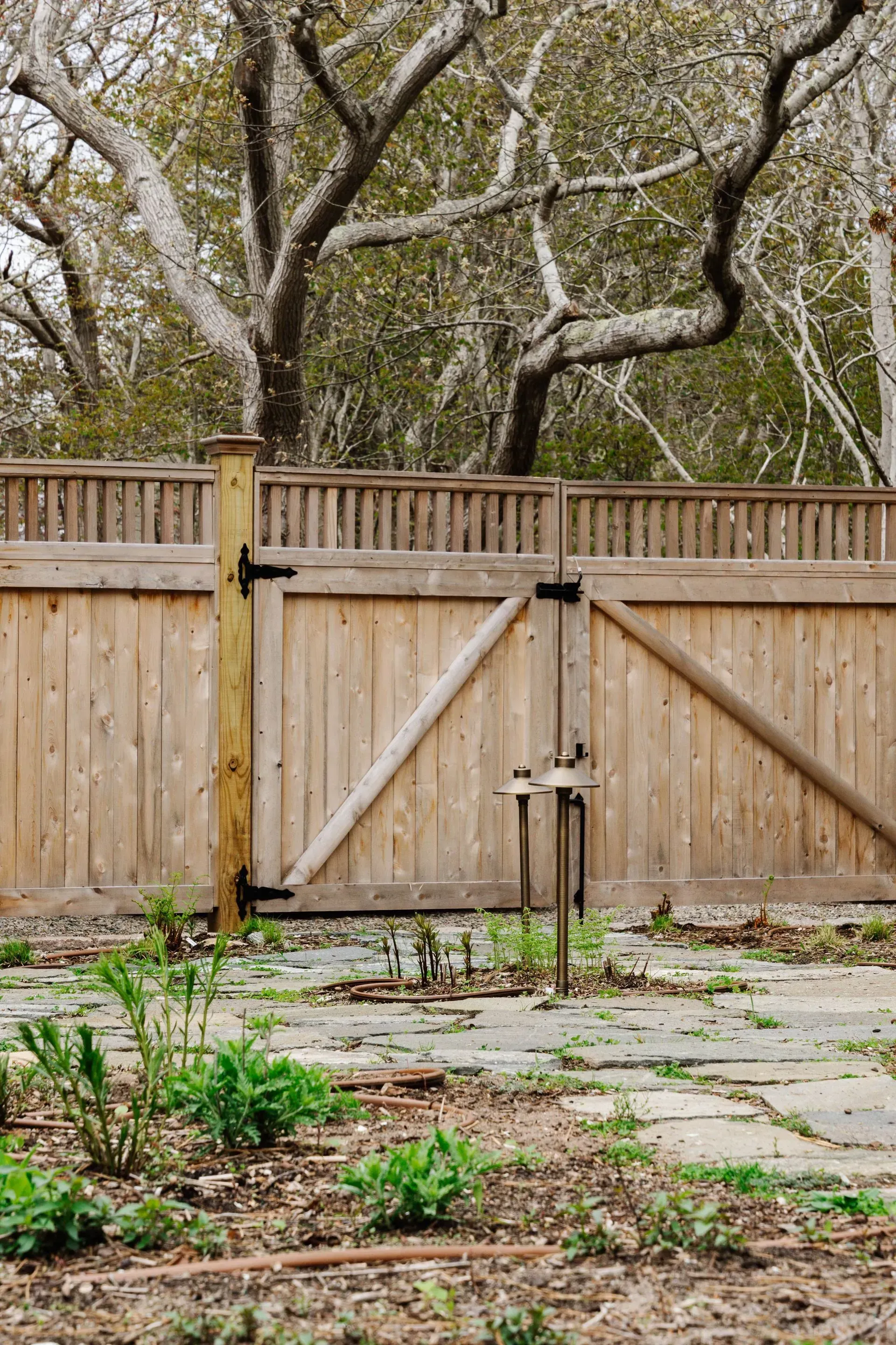 Wooden backyard gate and fence with trees overhead and a small garden in front