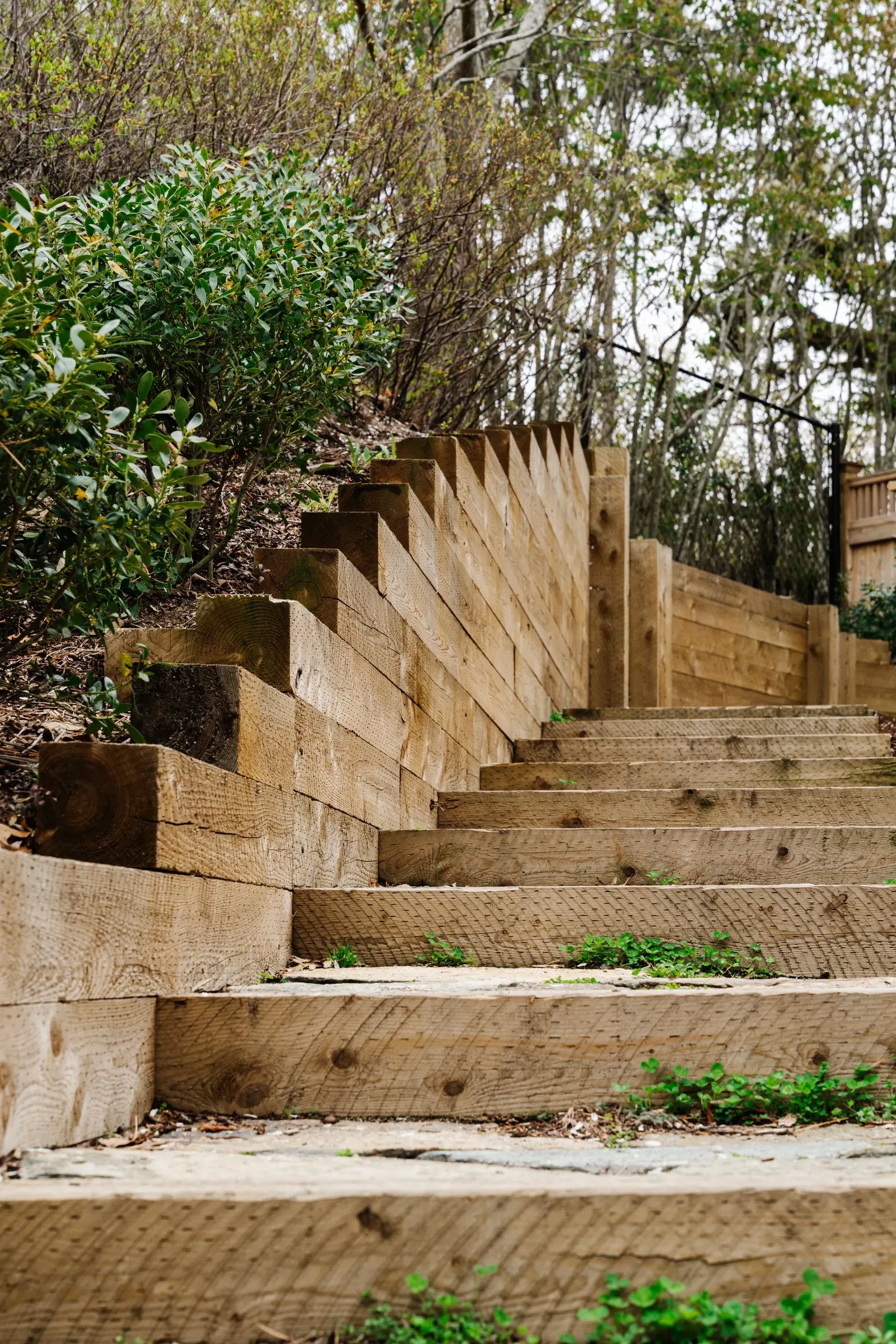 Stone outdoor staircase beside a sloped garden with trees and shrubs.
