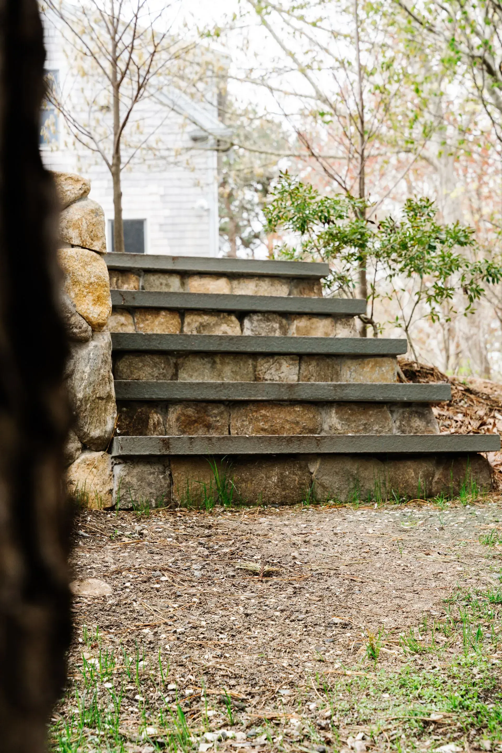 Stone steps leading up a gravel path beside a house and leafy trees