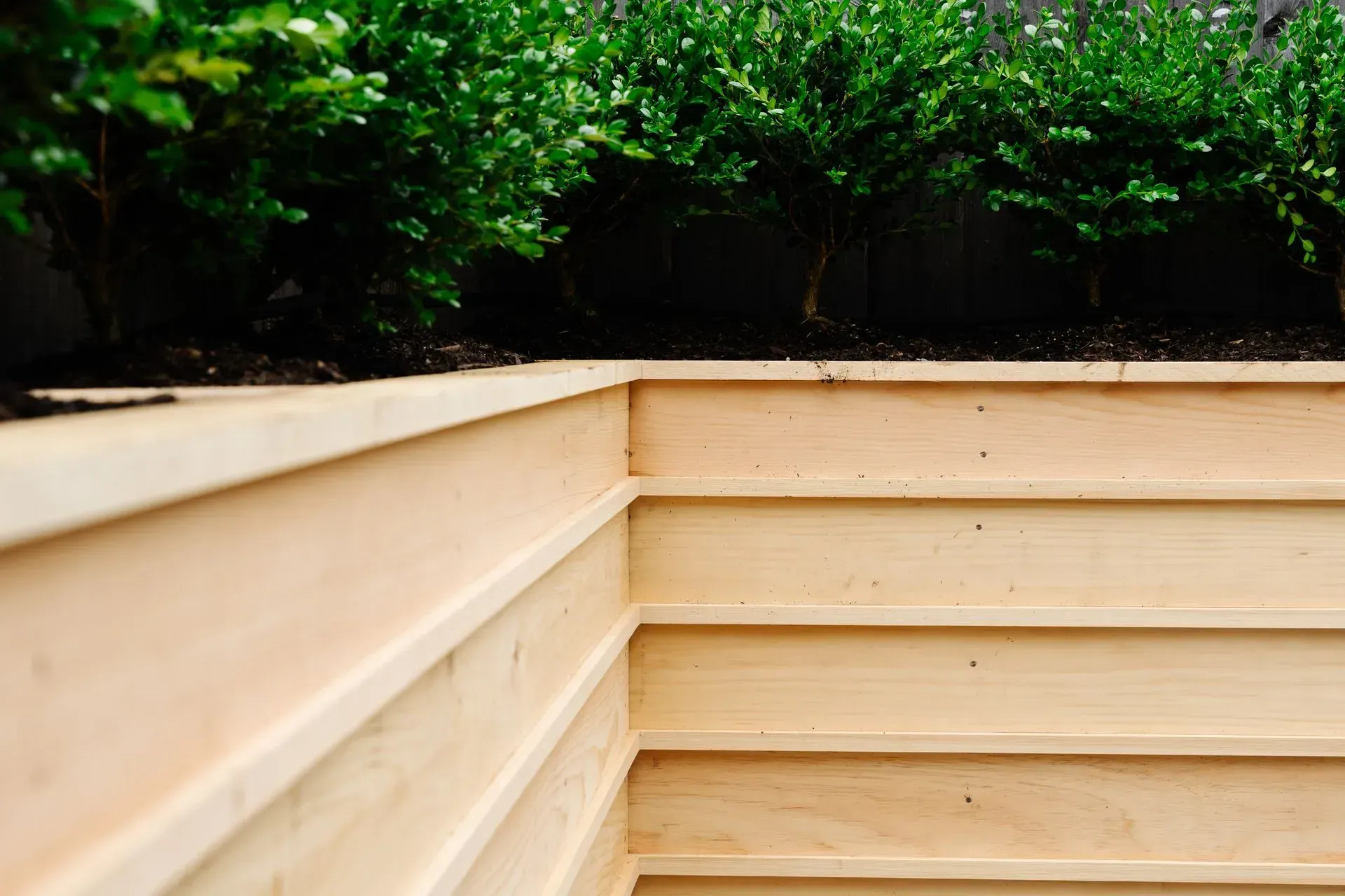 Wooden raised garden bed with lush green shrubs along the top edge