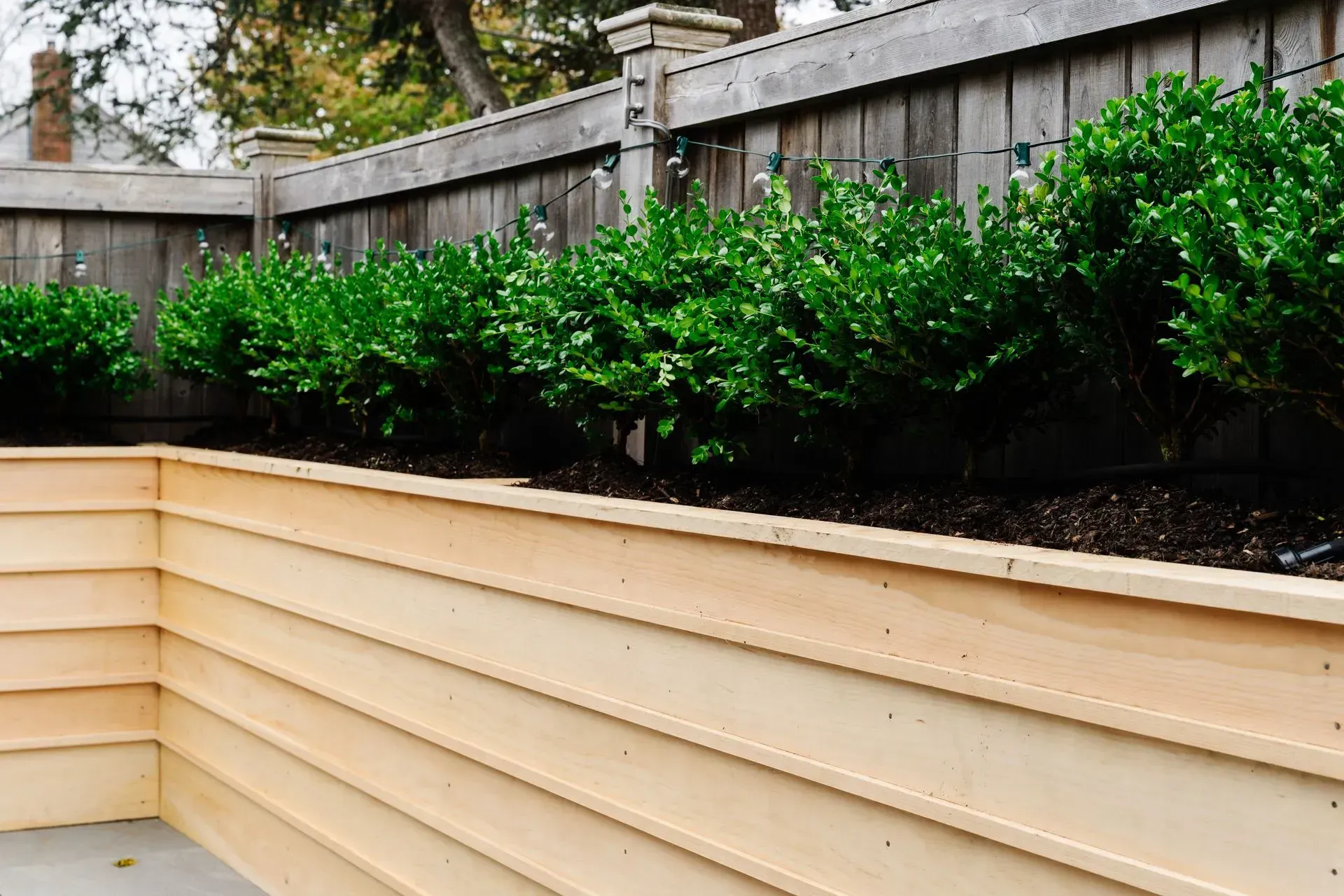 Tiered tan retaining wall beside a wooden fence, lined with green shrubs along a patio edge