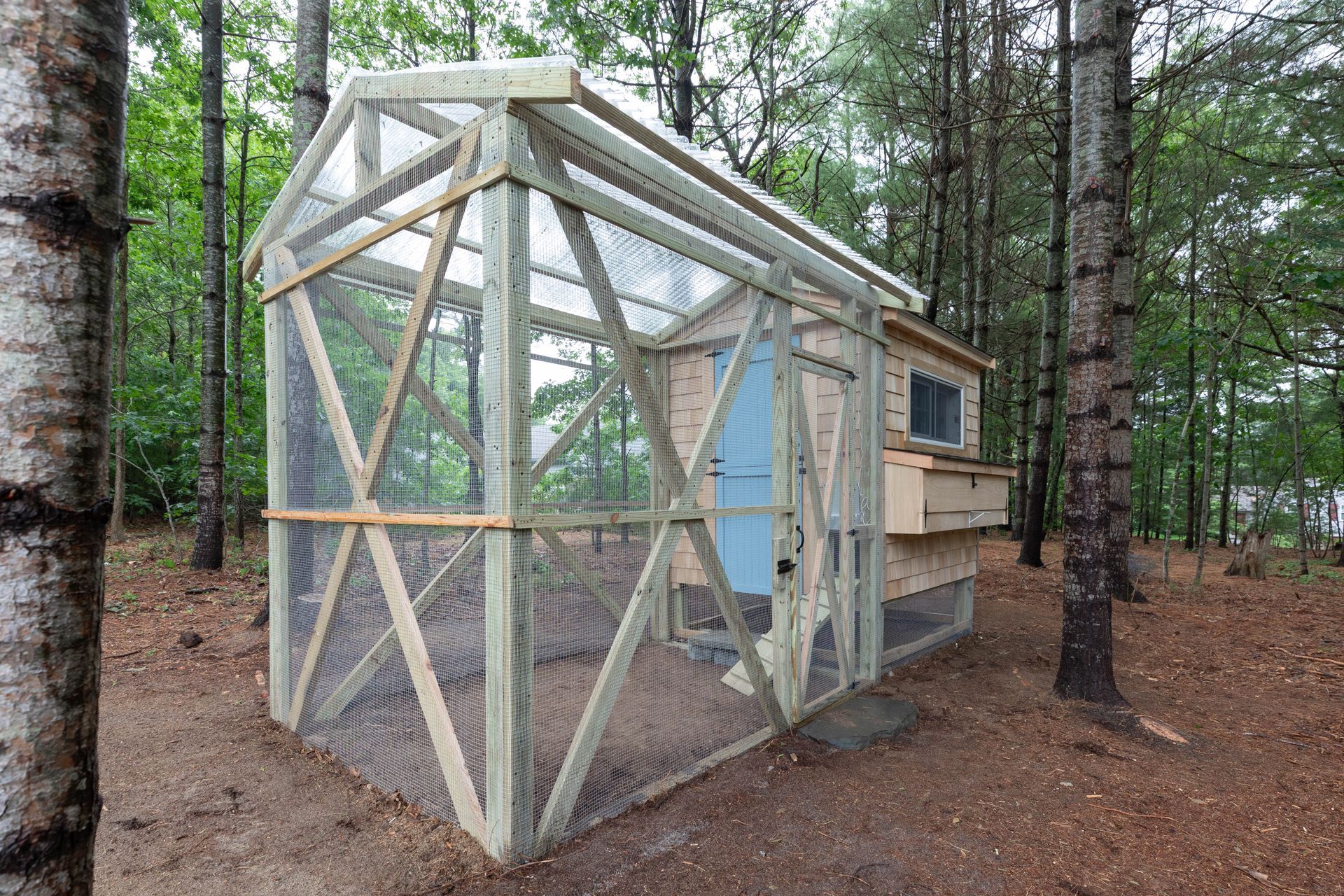 Small wooden cabin with a screened porch in a wooded forest clearing