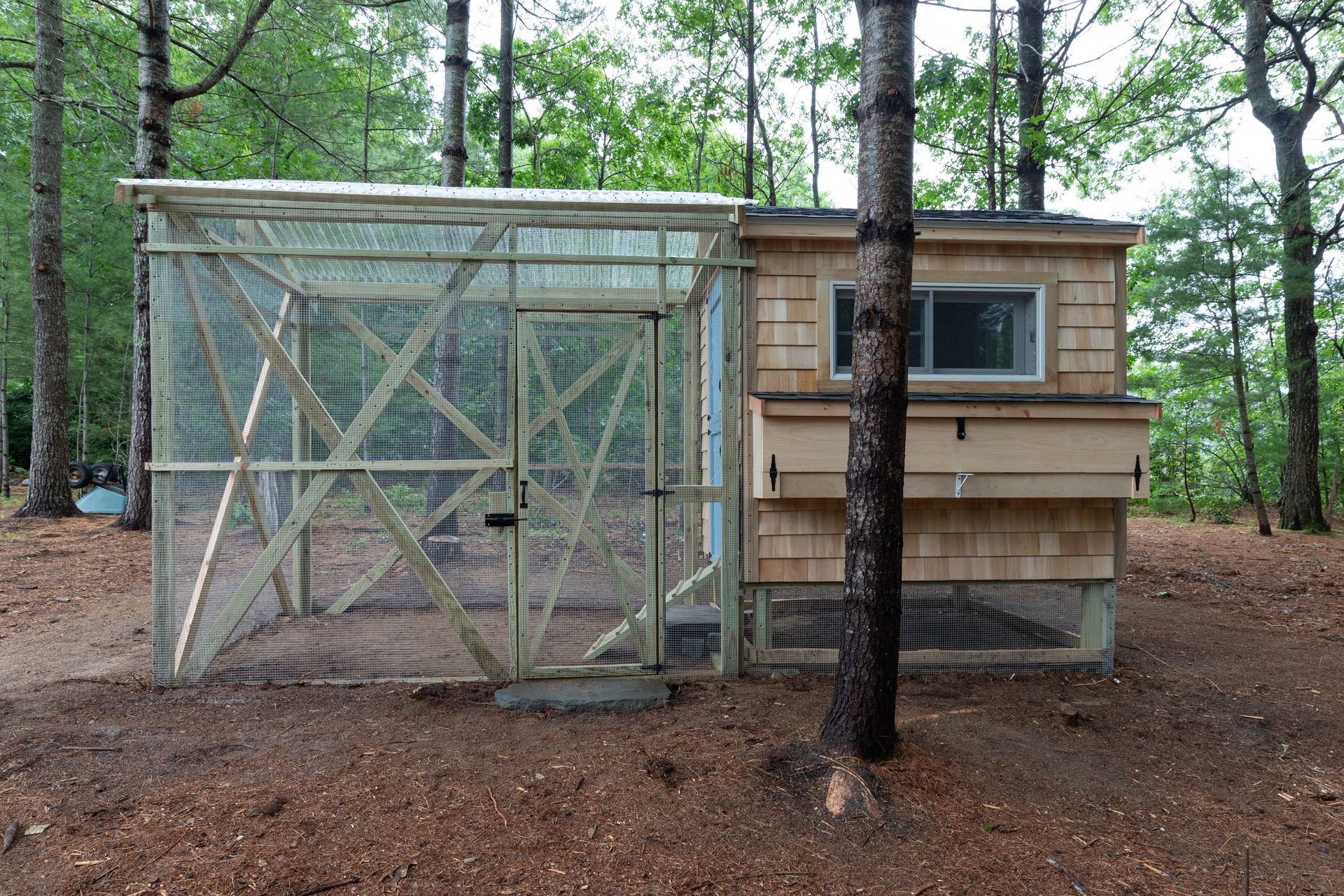 Small wooden cabin and fenced enclosure in a wooded forest clearing