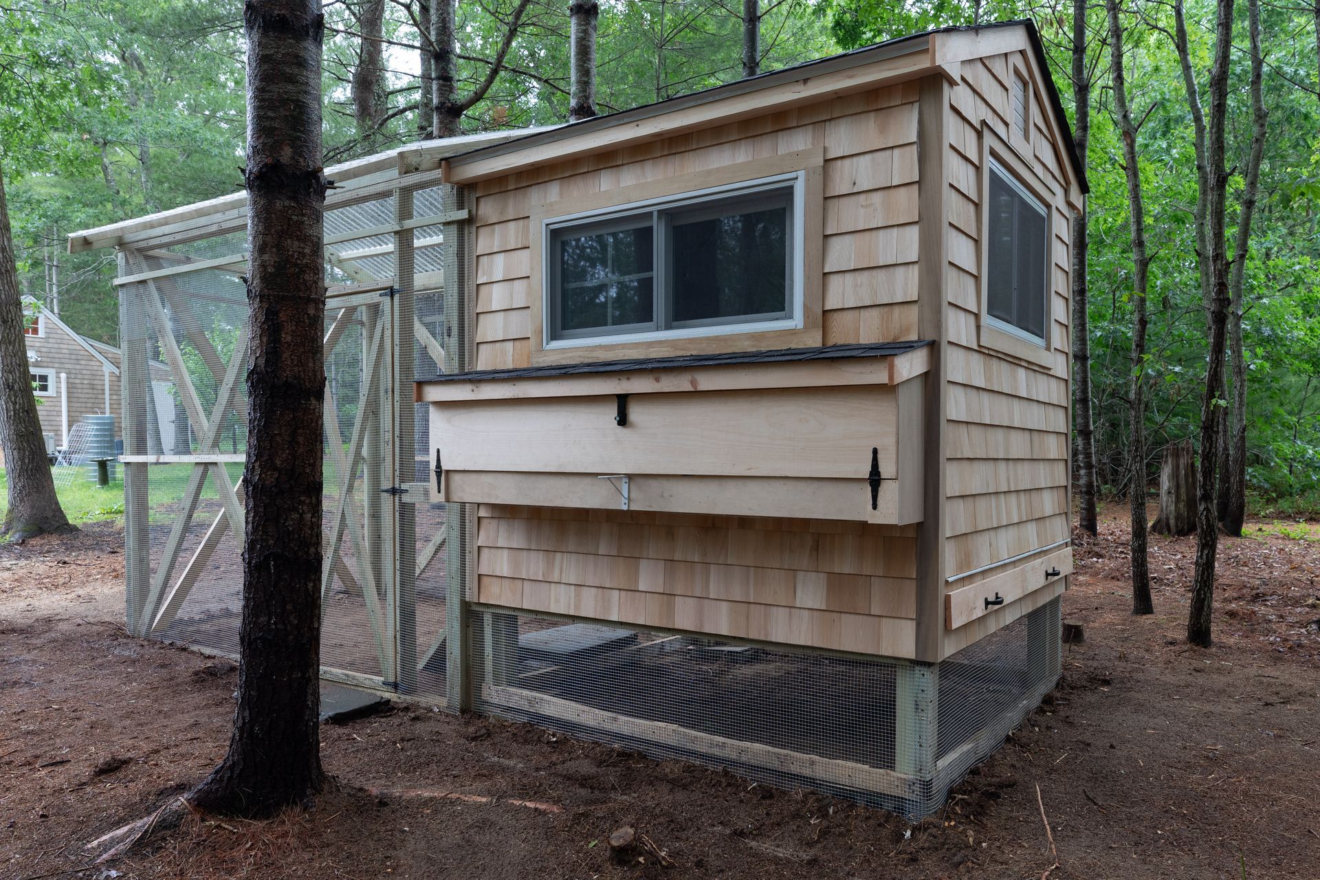 Small tan shed or coop with window and mesh base in a wooded yard
