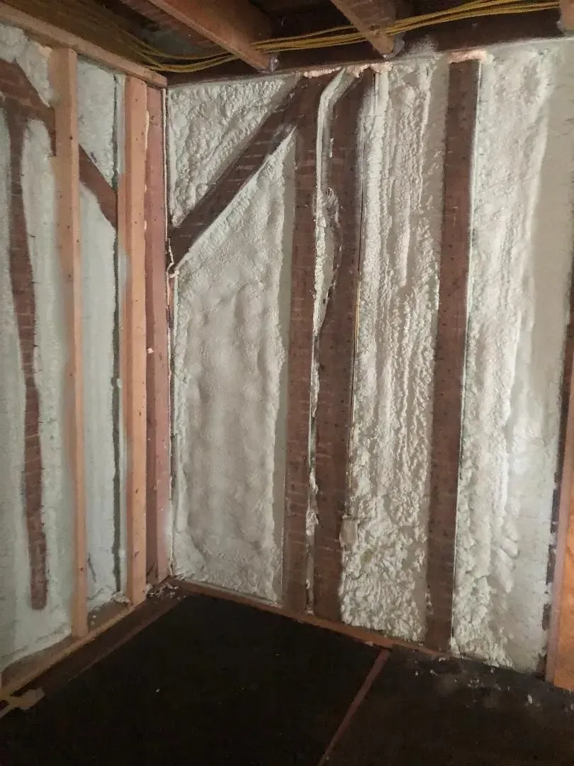 Interior wall with spray foam insulation between wooden studs in a basement or crawlspace.