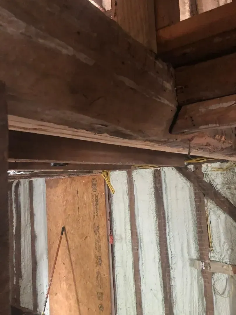 Interior view of exposed wooden beams. A plywood wall and insulation are also visible.