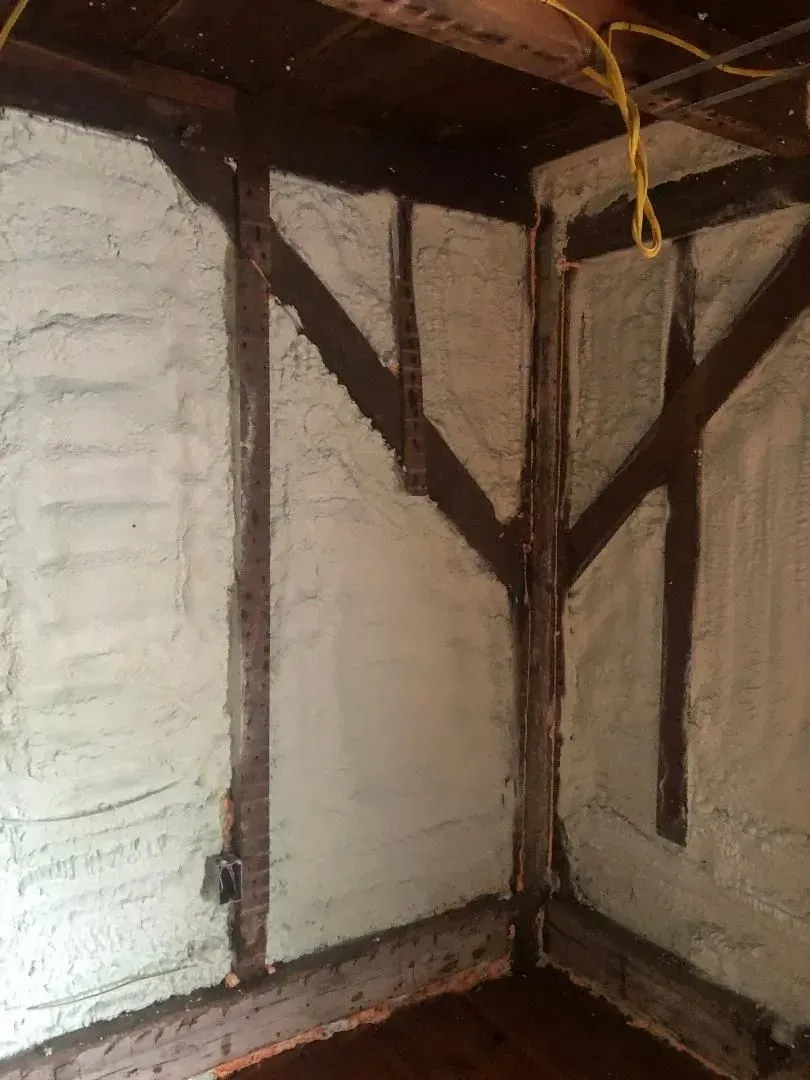 Interior wall with dark wooden beams and light green insulation foam.
