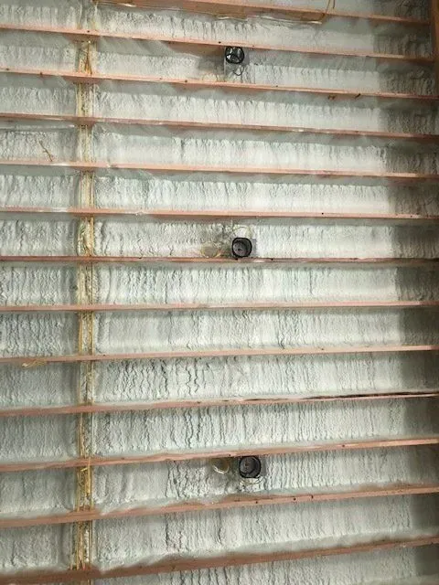 Wooden slats with white insulation and black fixtures.