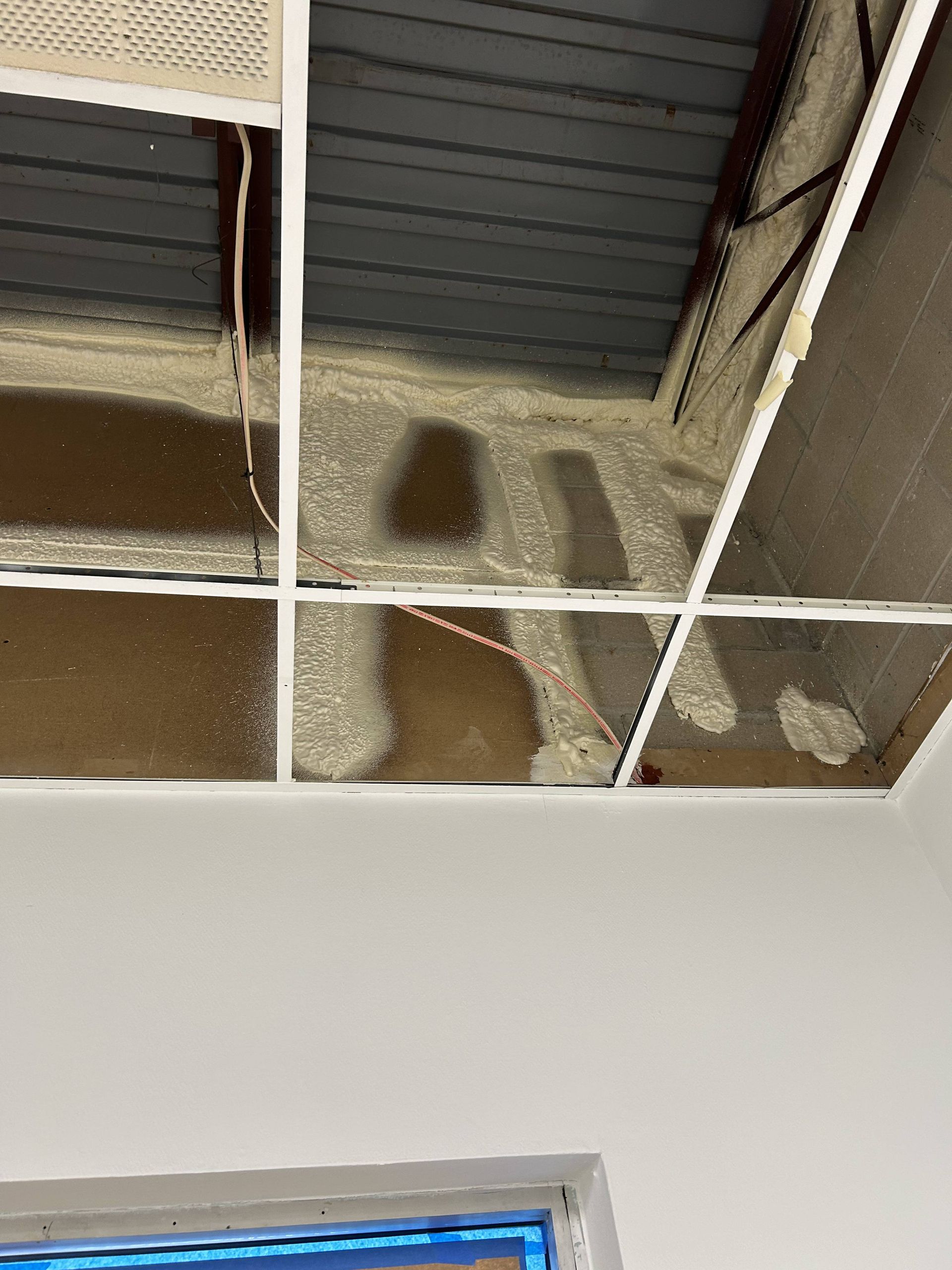 Ceiling tiles with water stains above a white wall and window frame