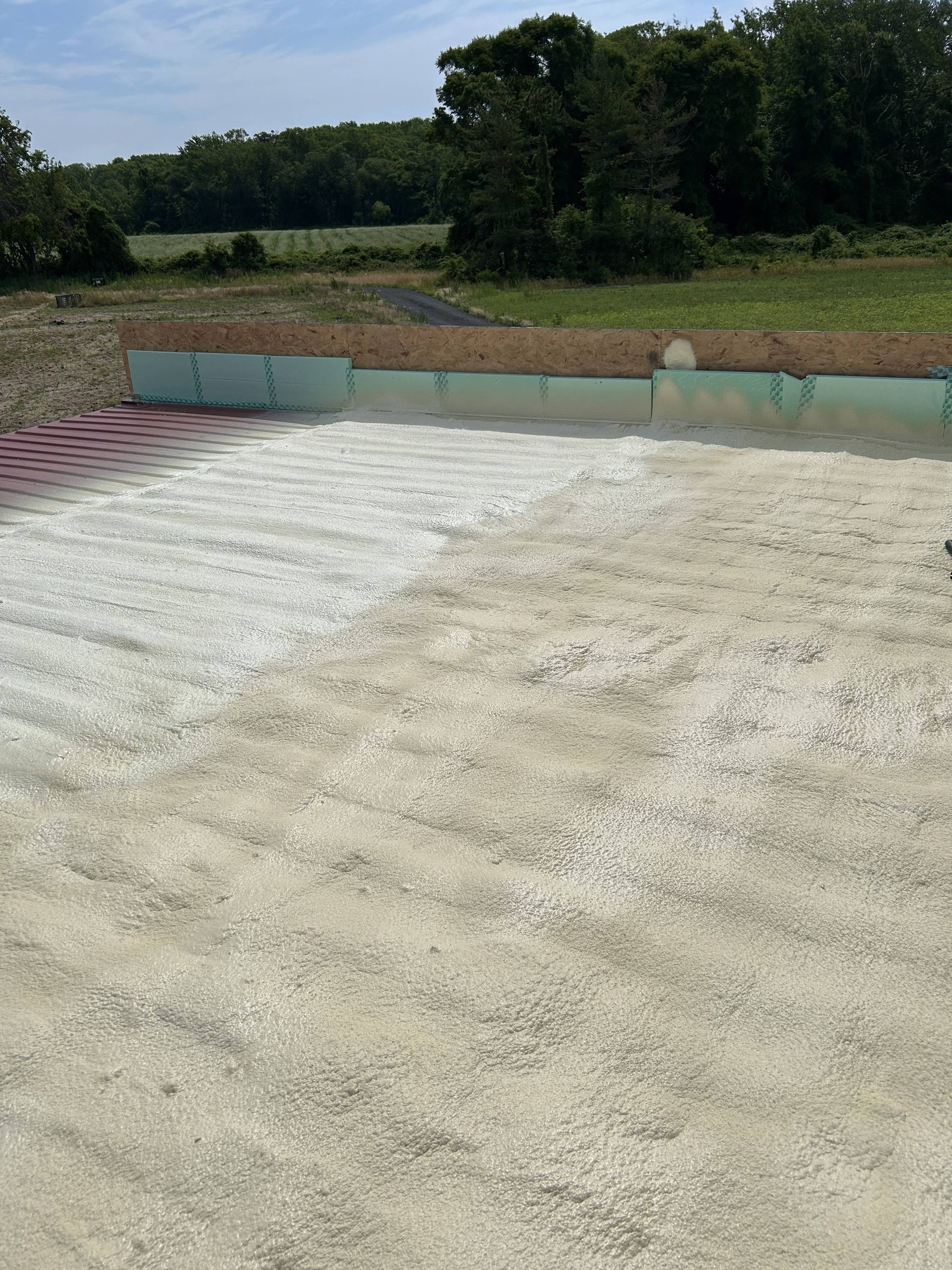 Rooftop with a light concrete surface, low painted parapet, and trees and fields in the background