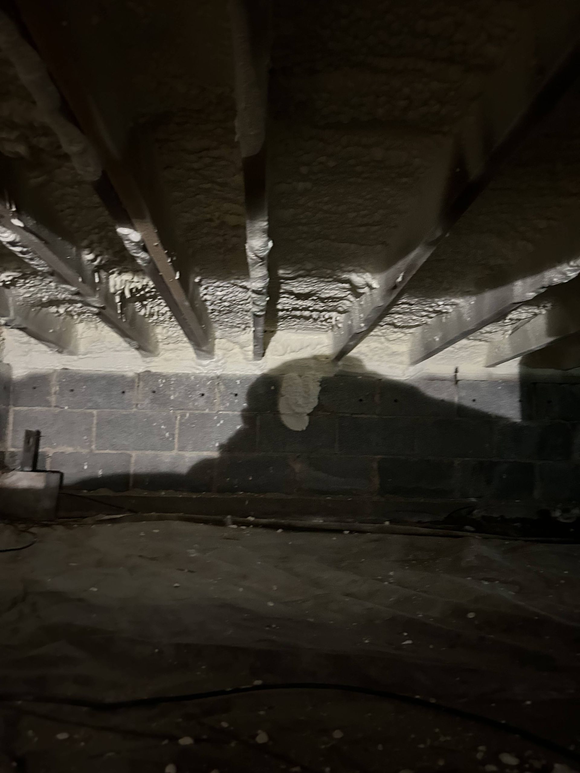 Dark crawlspace with exposed beams, cinder block wall, and a shadow on the floor.