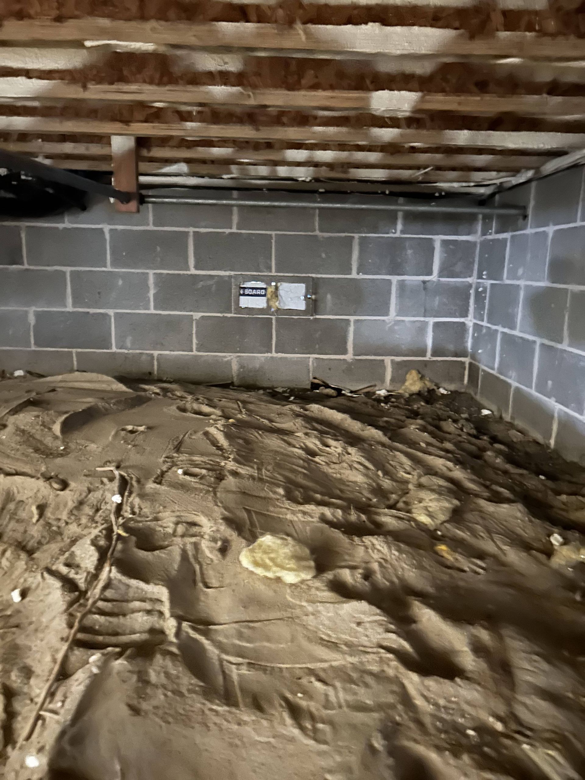 Basement crawl space with exposed beams, cinderblock walls, and dirt-covered floor