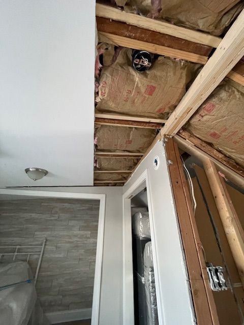 Cat peeking through a hole in exposed ceiling insulation above a hallway and bathroom doorway