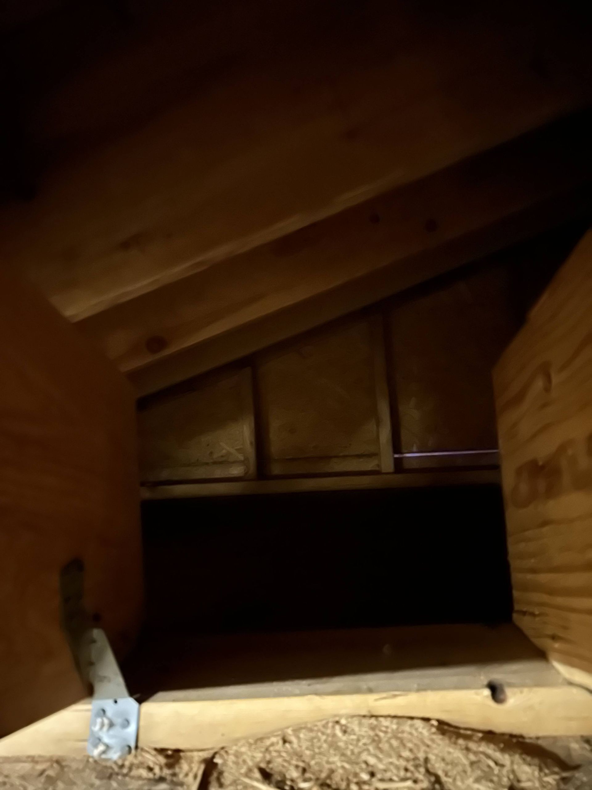 Empty wooden attic crawlspace with slanted beams and a dark opening.