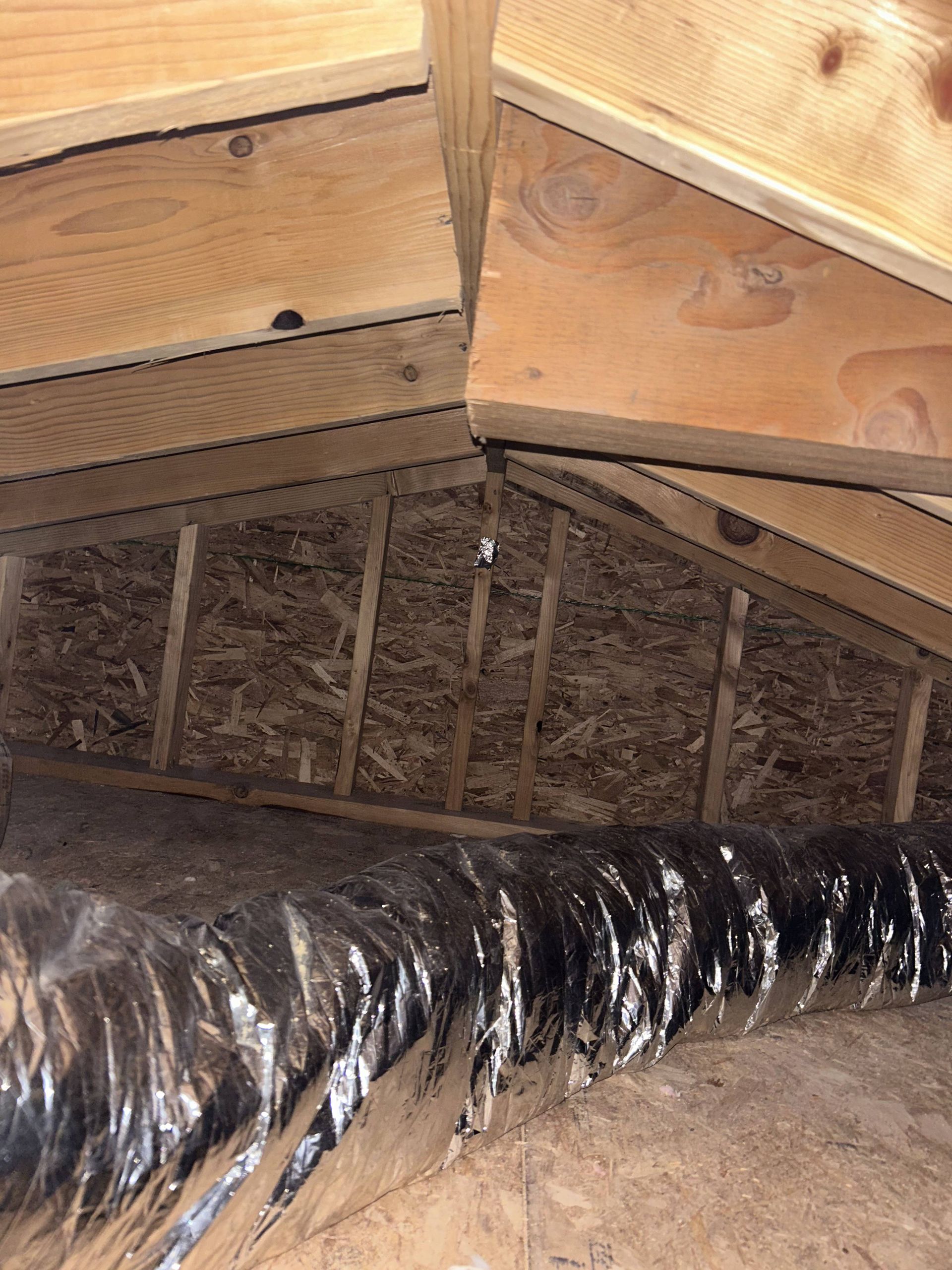 Exposed attic framing with insulation and a black flexible air duct running below the wood beams