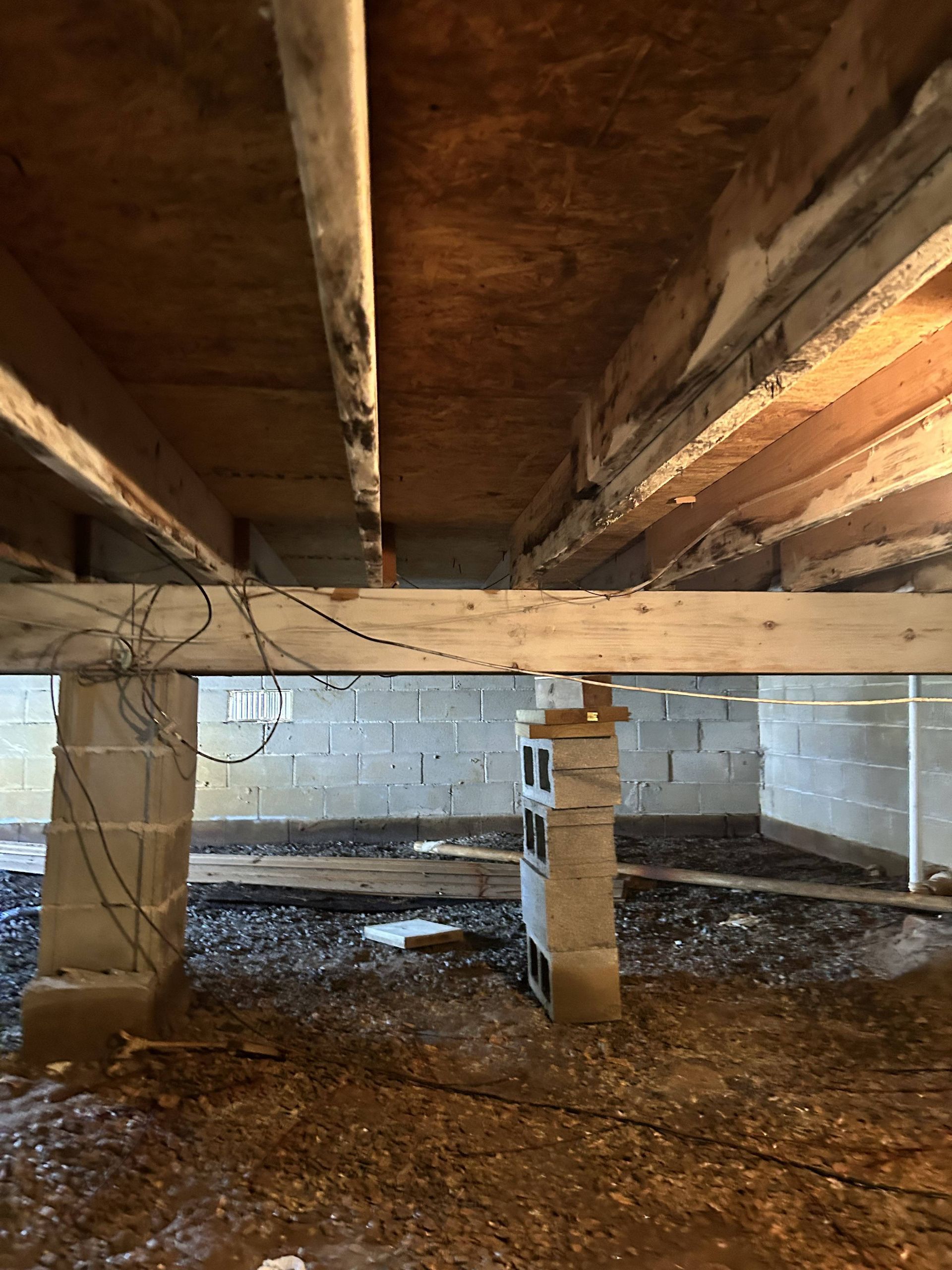 Low crawlspace under a house with wooden beams, concrete supports, and dirt floor