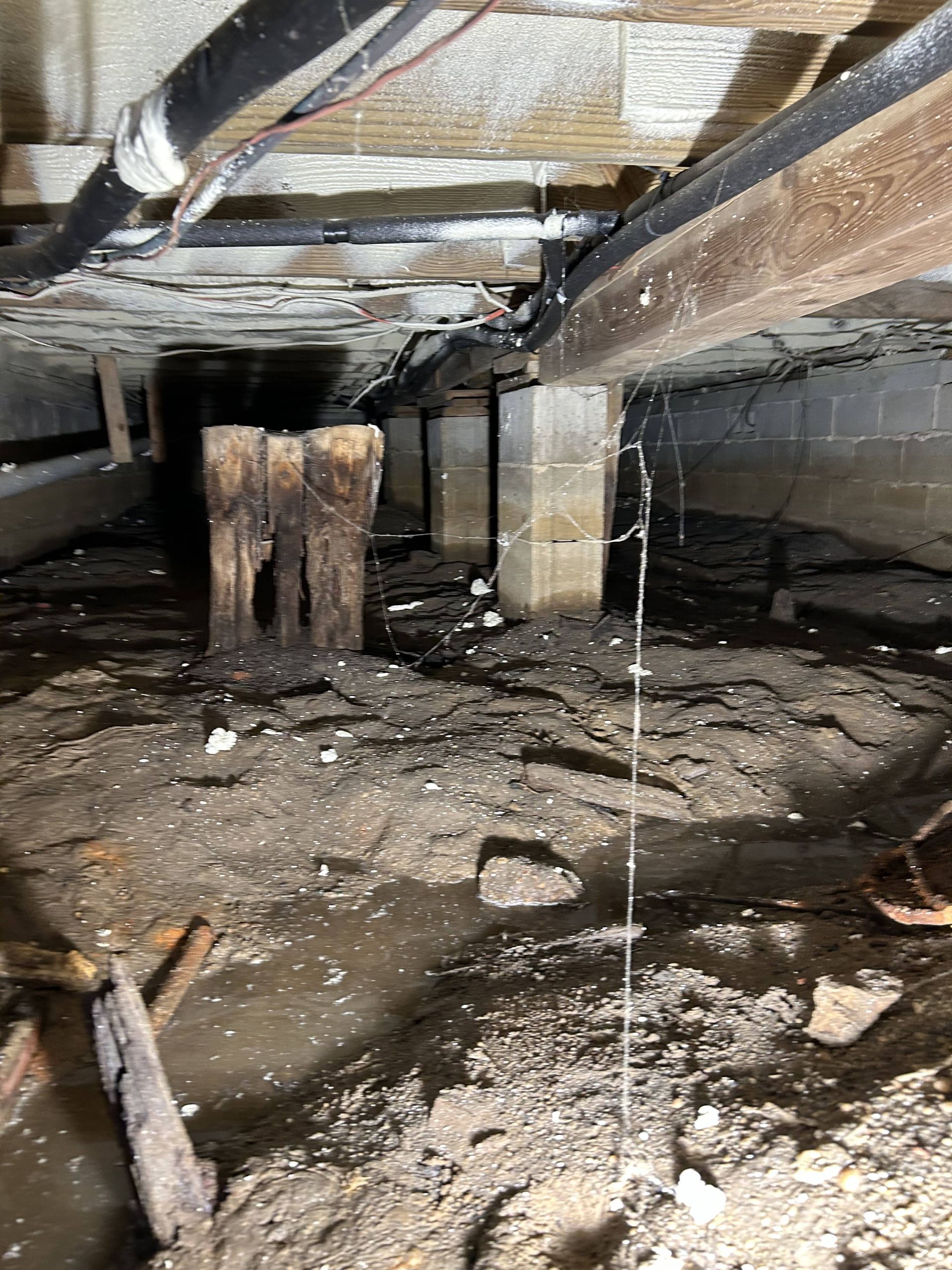 Crawlspace with exposed insulation, wooden beams, concrete support piers, and dirt floor with debris and water stains