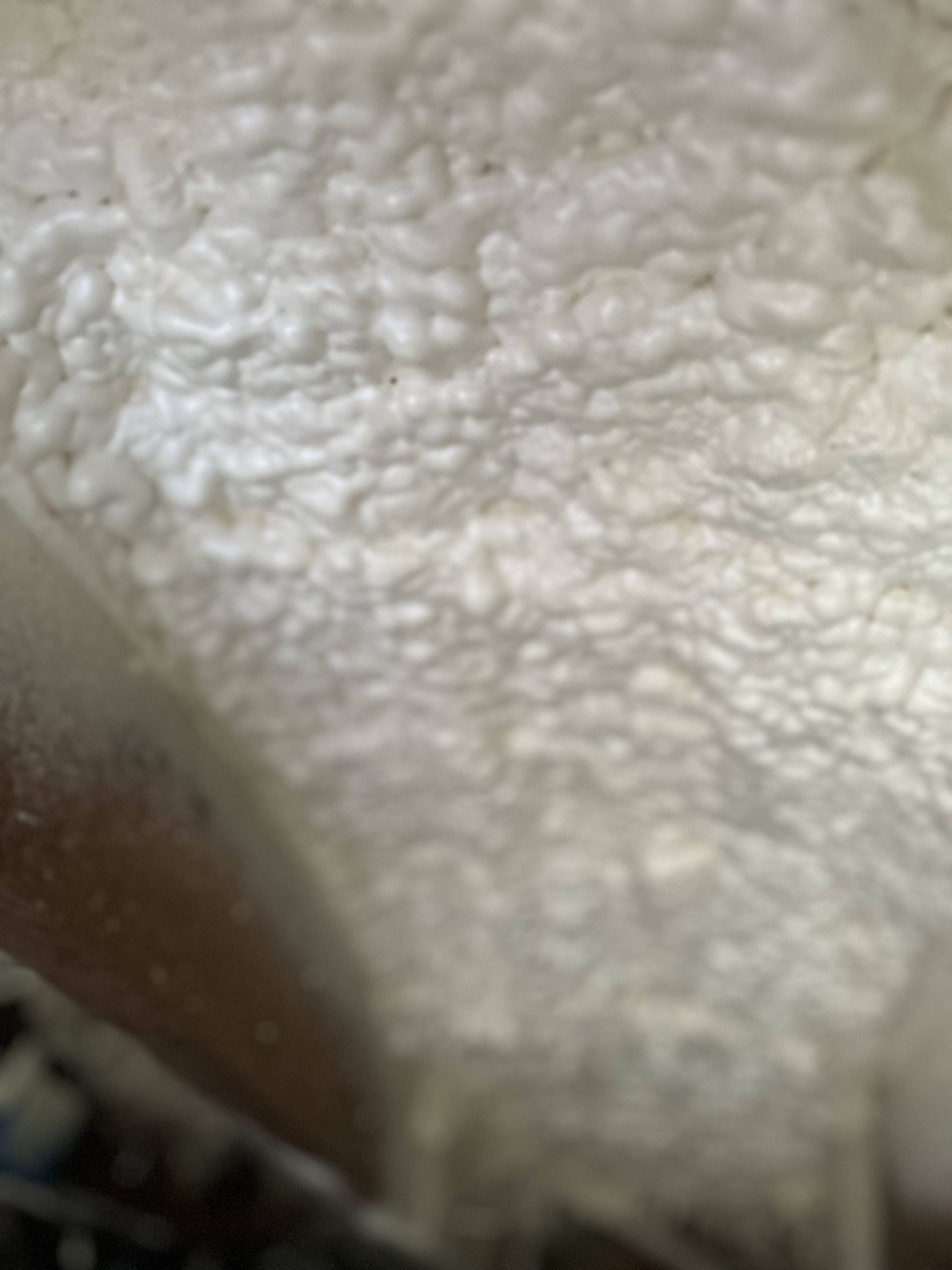 Close-up of a white, fluffy textured surface with a brown edge on the left.