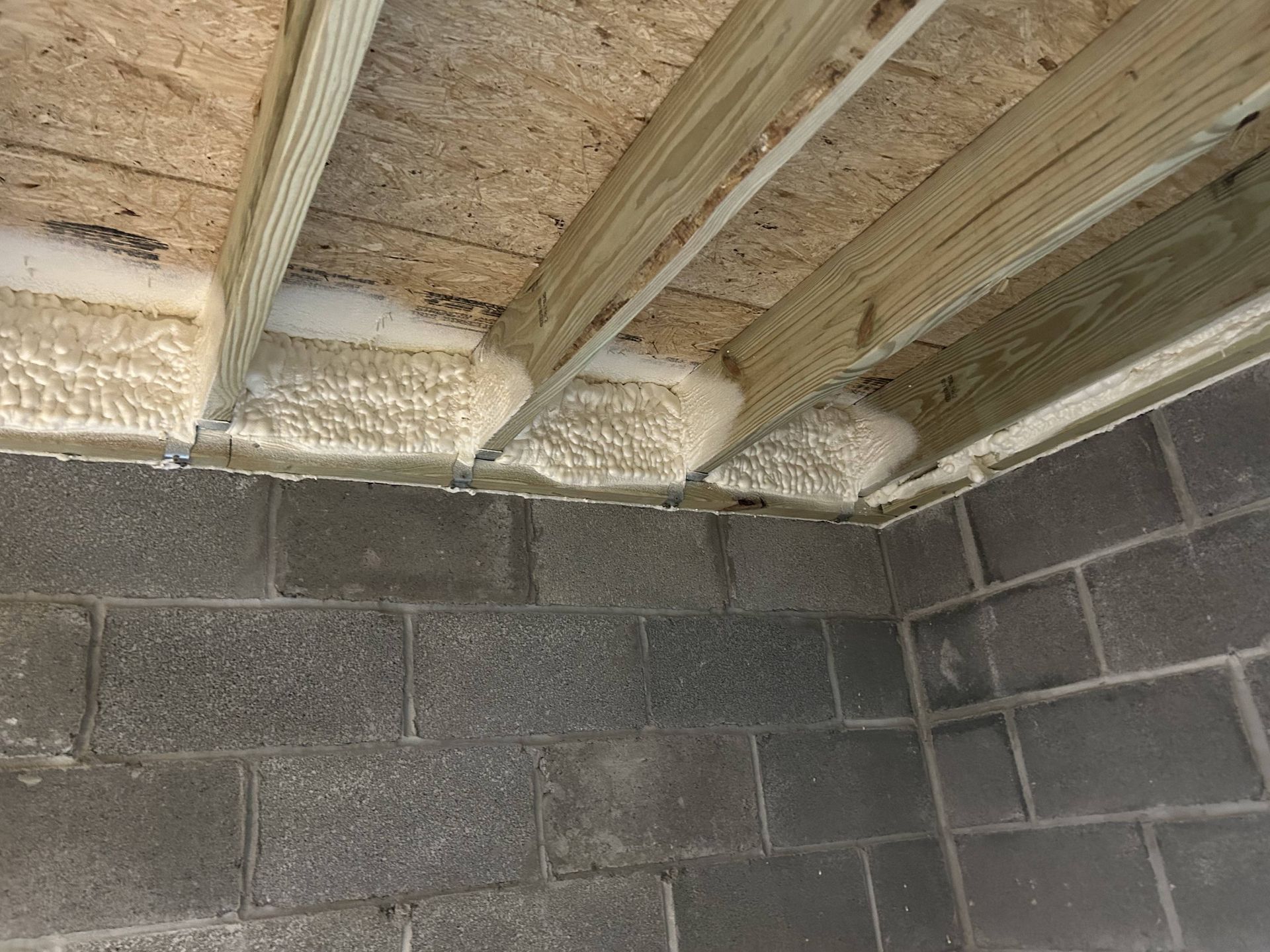 Insulated wooden ceiling joists above a gray cinder block wall in an unfinished room