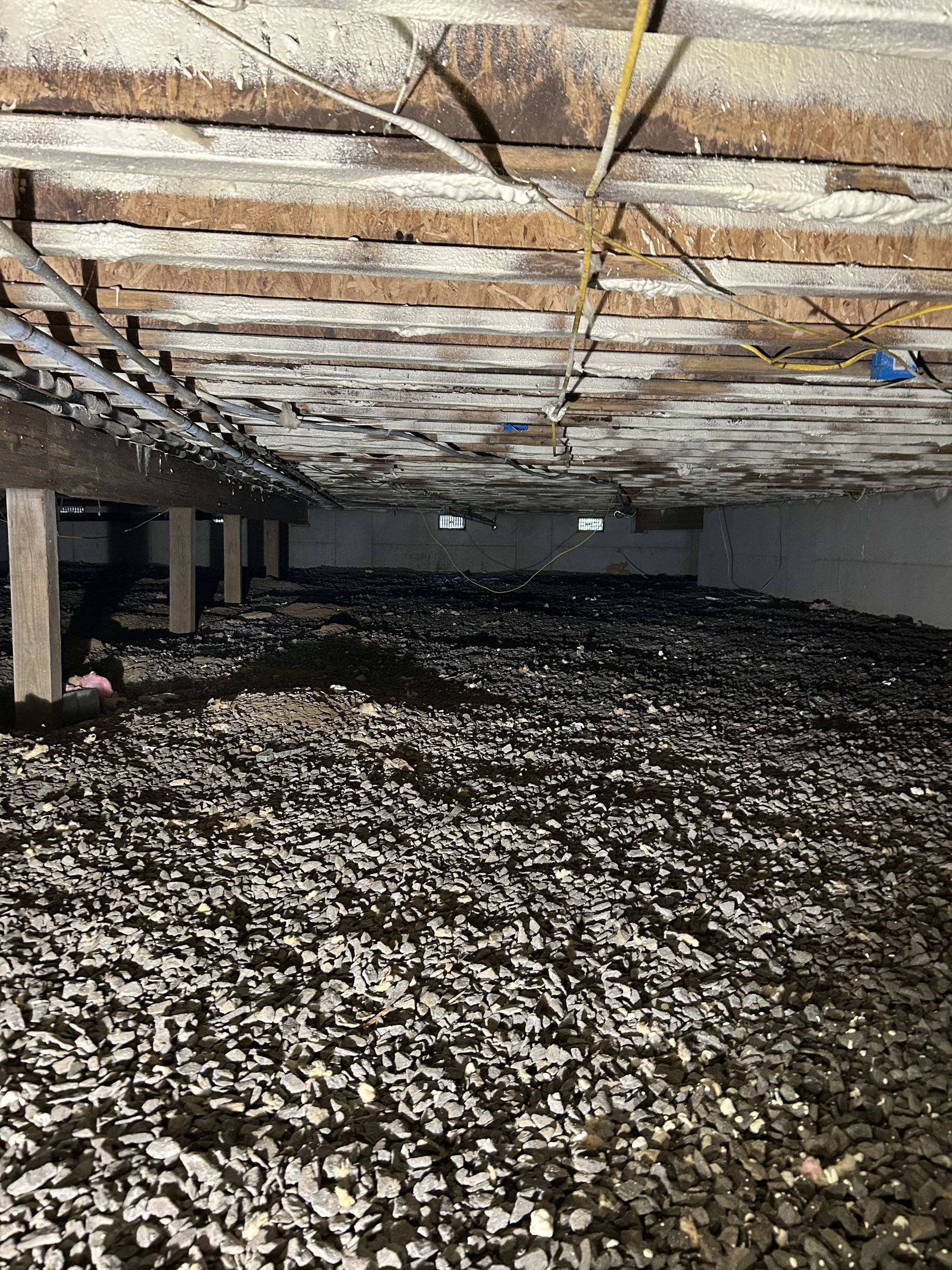 Low crawlspace with exposed beams, dirt floor, and piles of white debris or mold spread across the ground