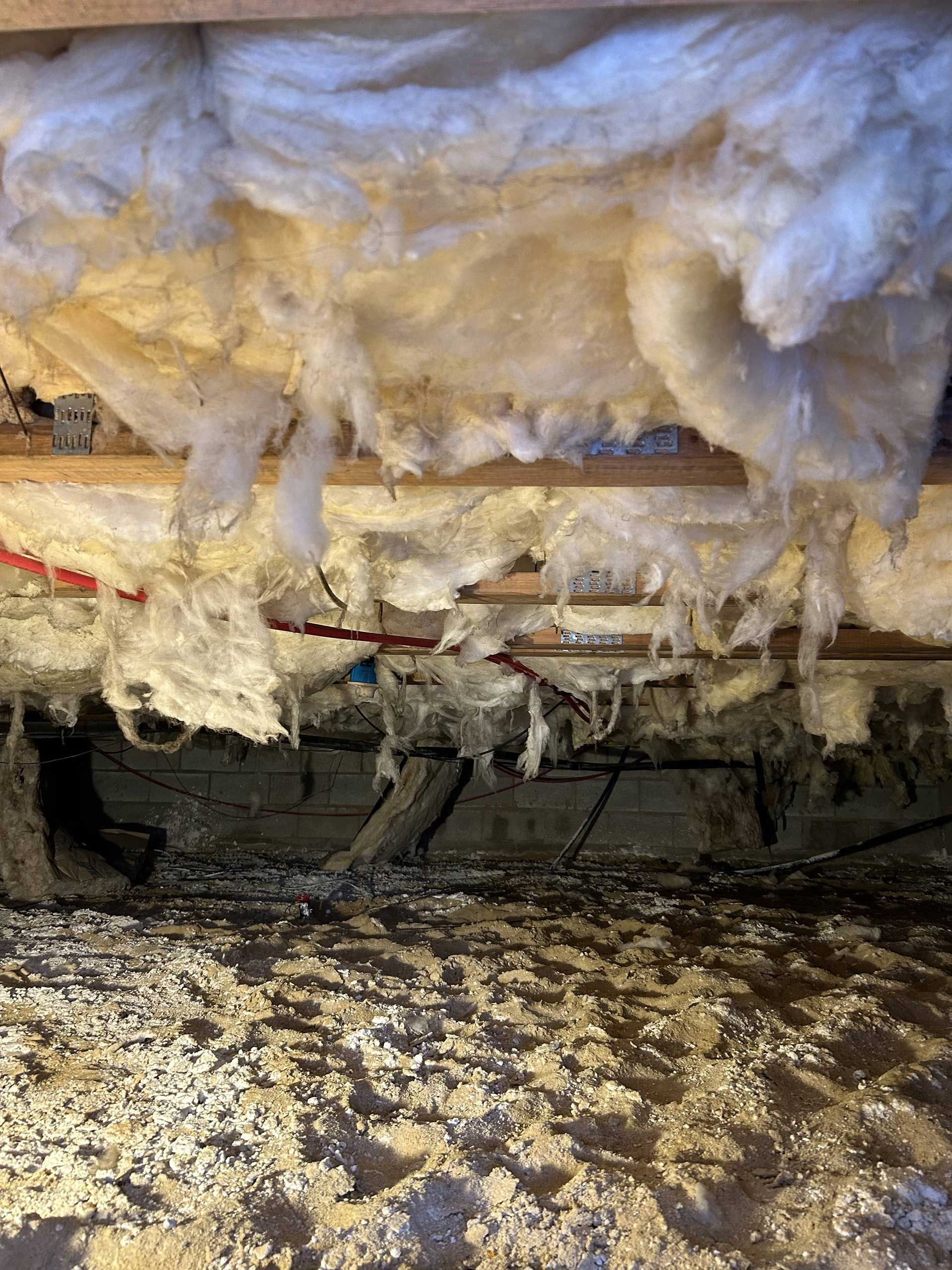 Fiberglass insulation hangs down from the joists of a crawl space above a dirt floor covered in wood shavings.