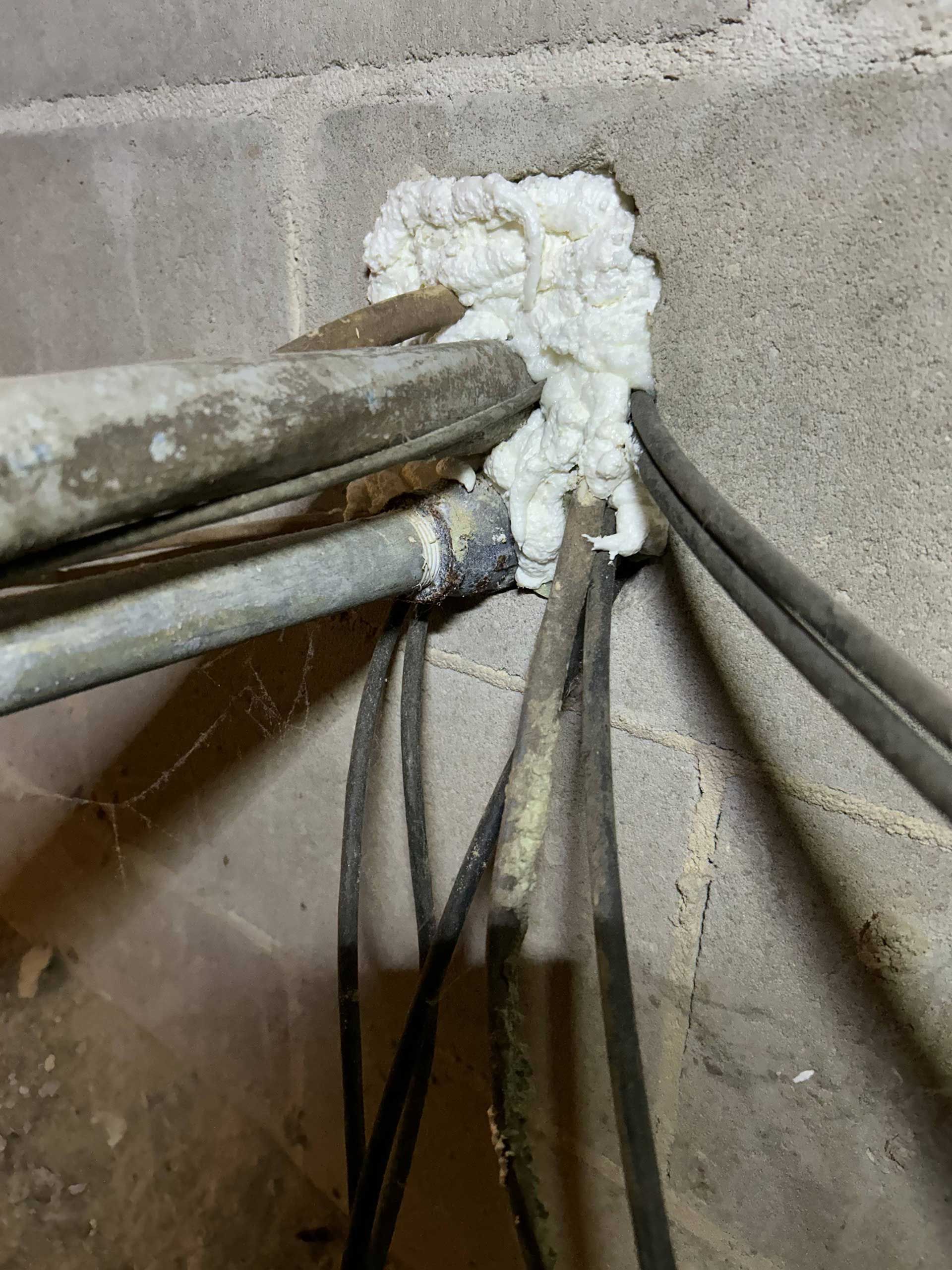 A bundle of electrical conduits and wires passing through a hole in a concrete wall, sealed with white expanding foam.