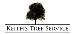 Keith's Tree Service - Crane Removals | Woodridge, NY