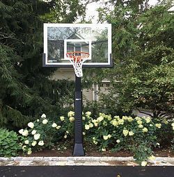 A basketball hoop is sitting on the side of a road in front of a house.