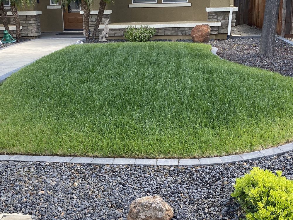 landscaping installs