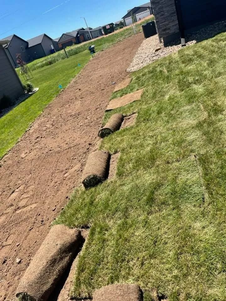 Freshly laid sod rolls being installed along a dirt yard next to a residential house.